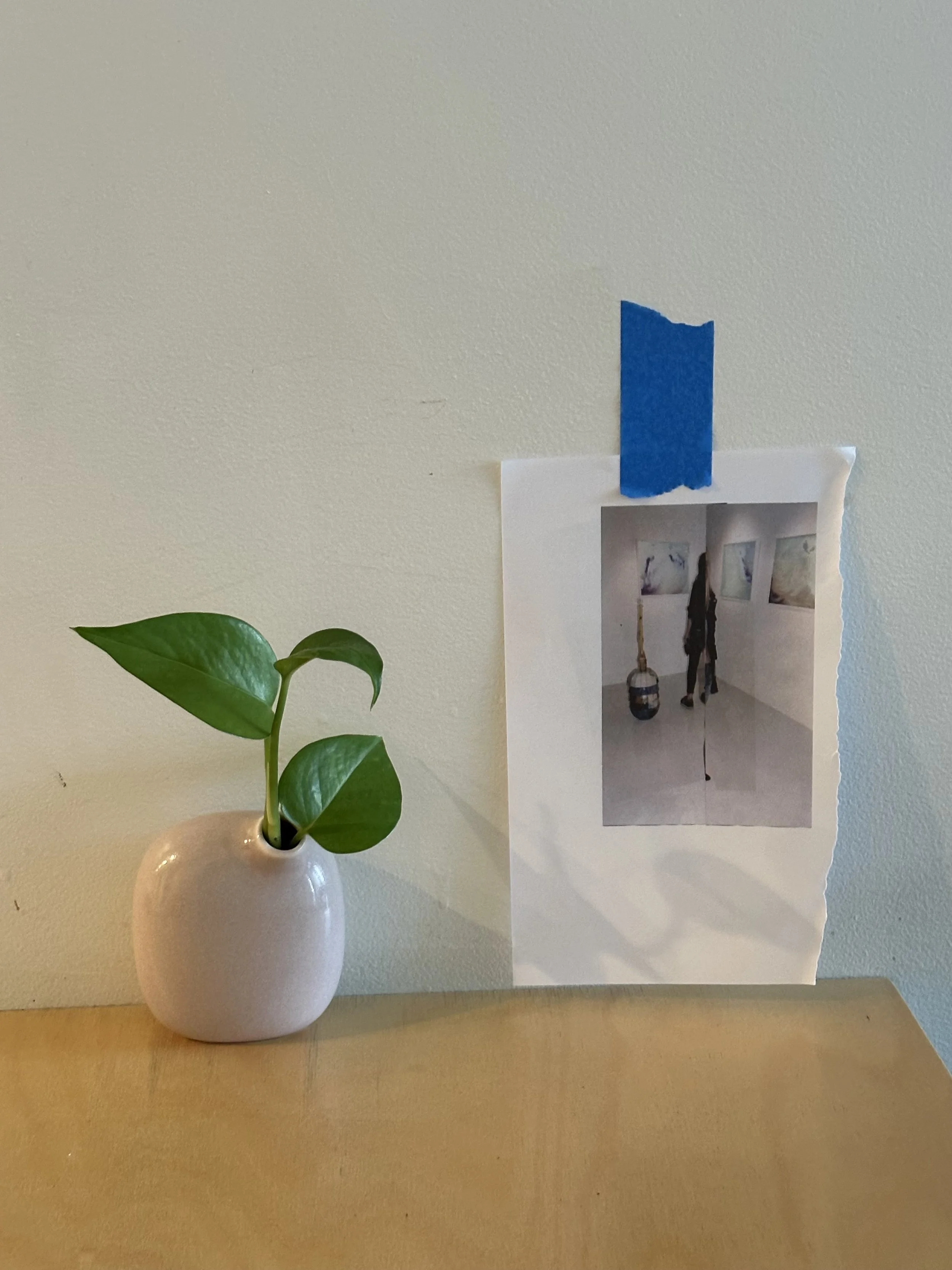 installed at duckrabbit coffee in Cleveland OH