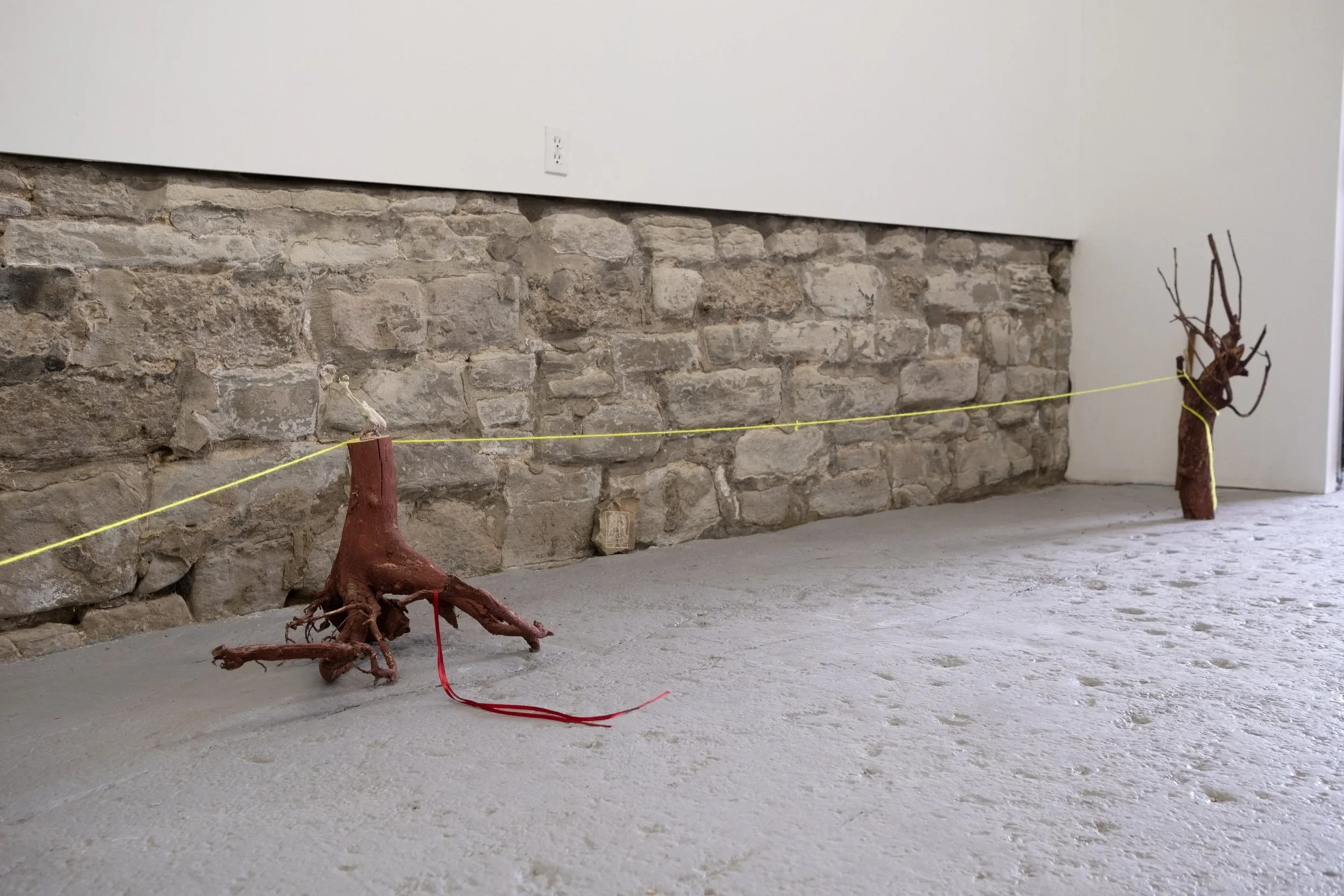 DSCF0178-1.webp