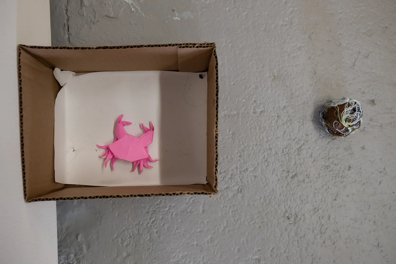 DSCF0663+(1).webp