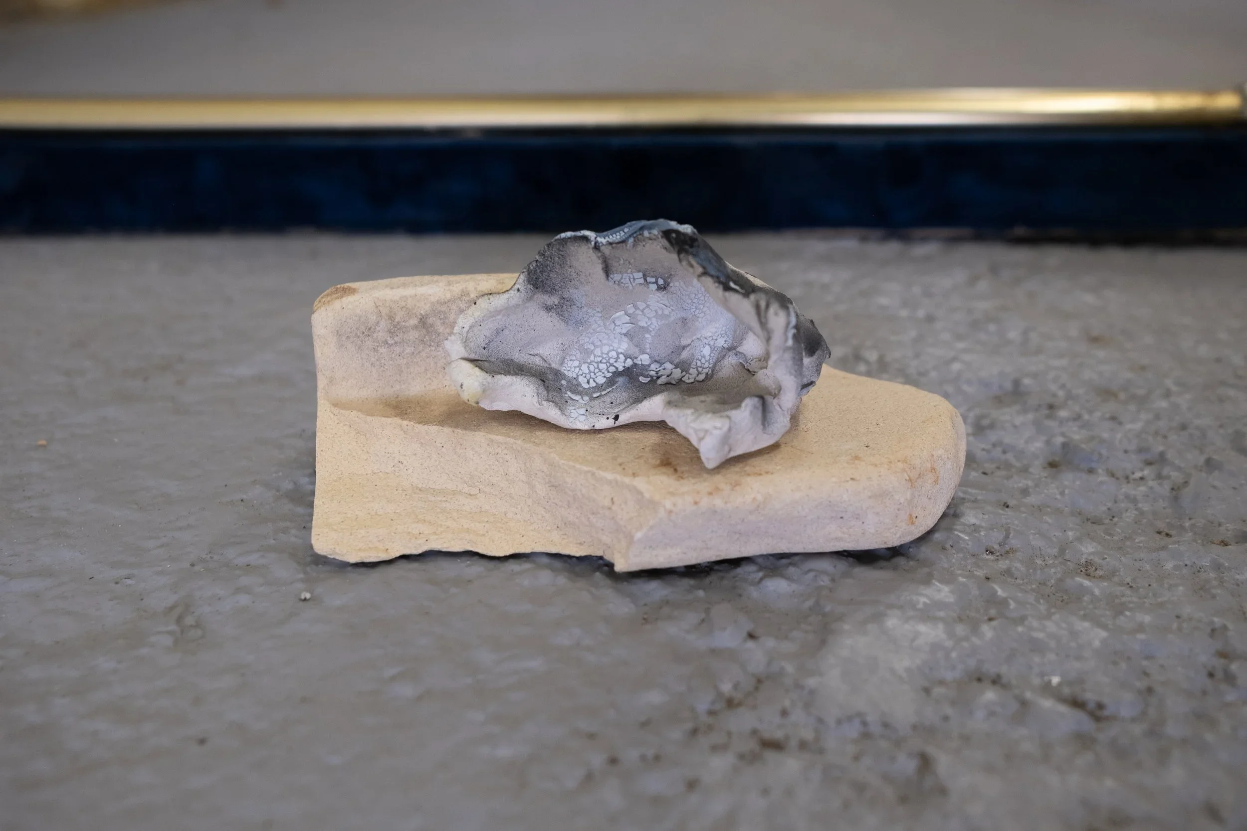 DSCF0550.webp