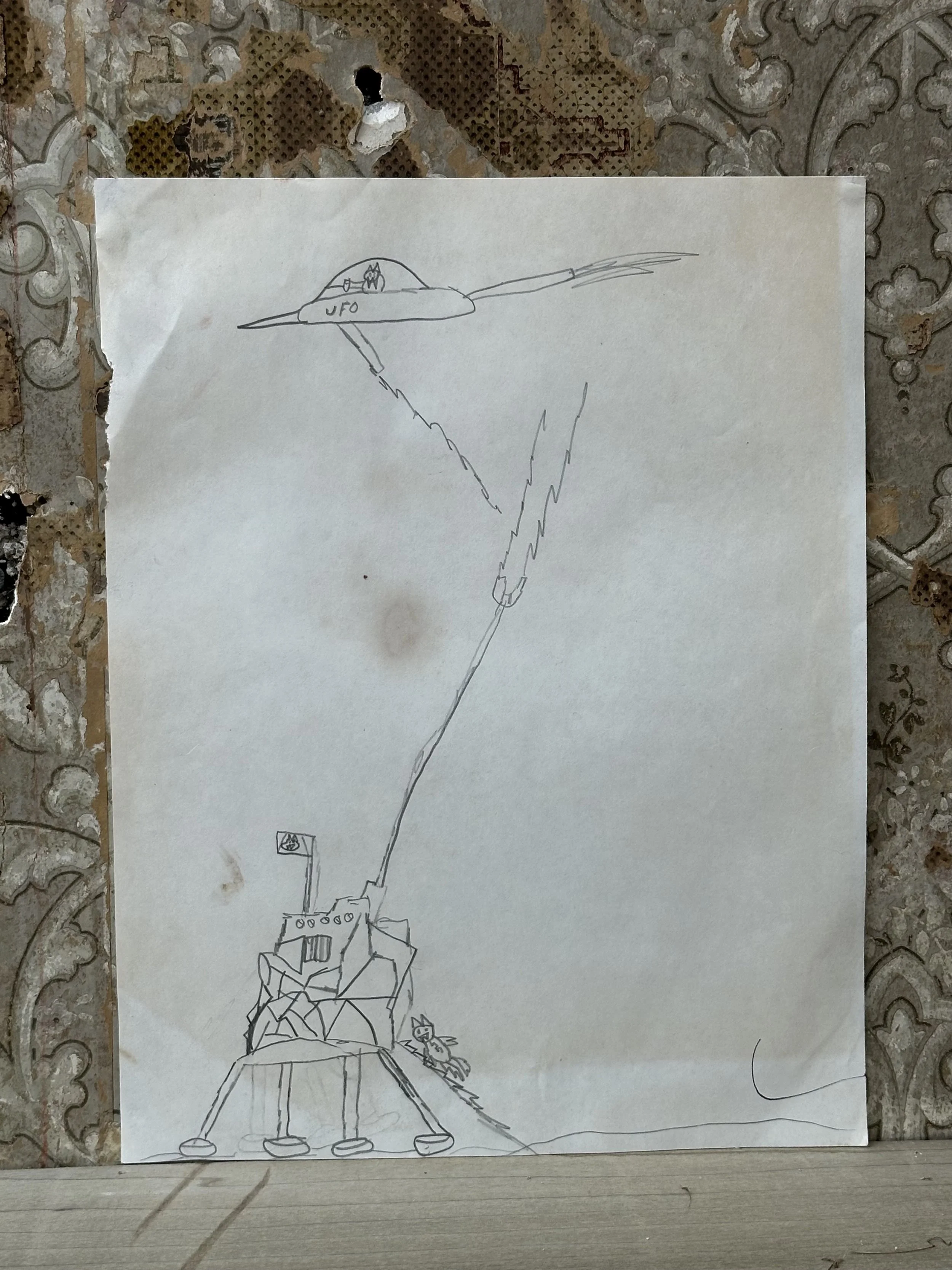 IMG_6408.jpeg
