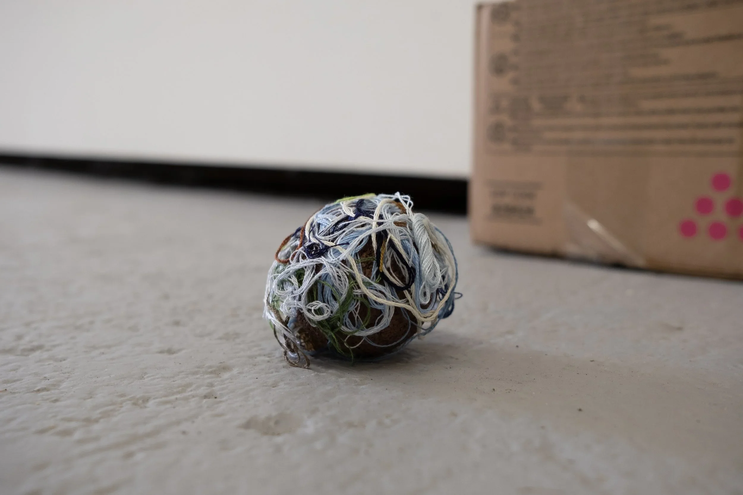 DSCF0670.webp