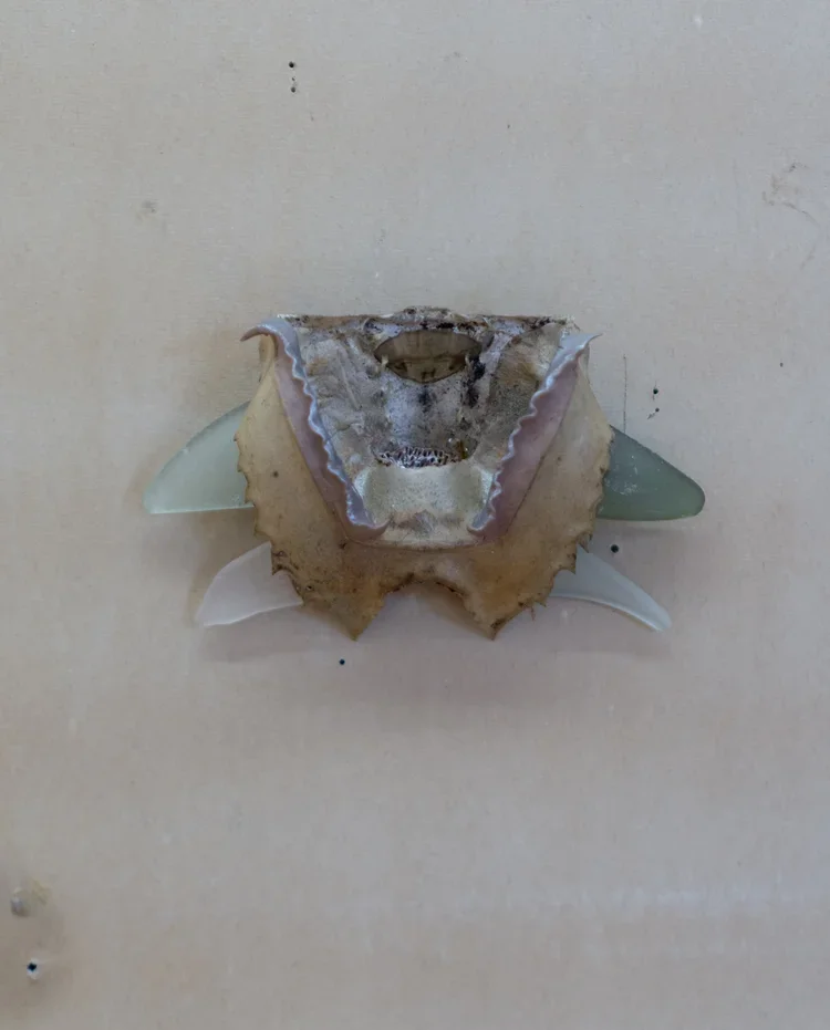64-DSC08720.webp