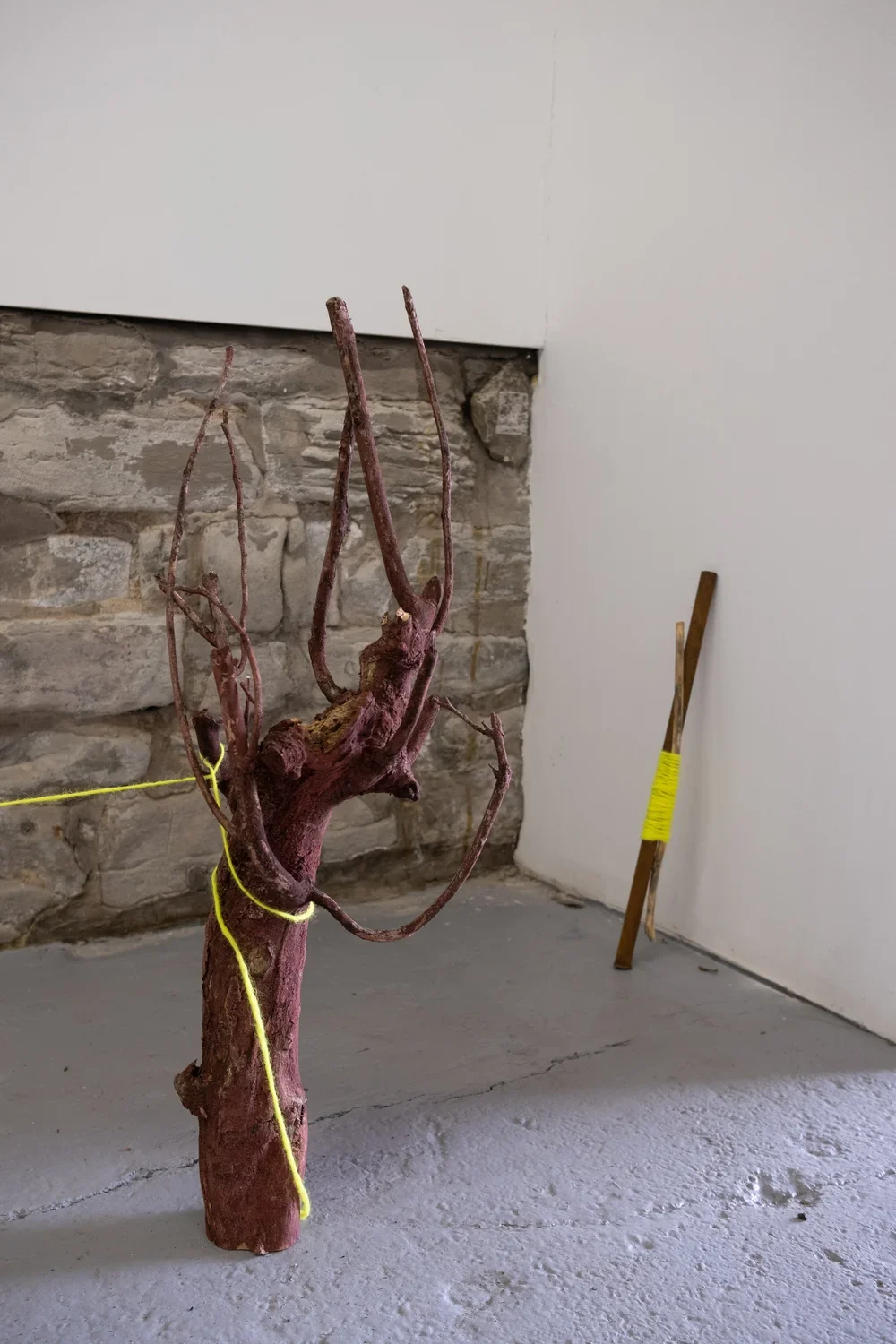 DSCF0148.webp