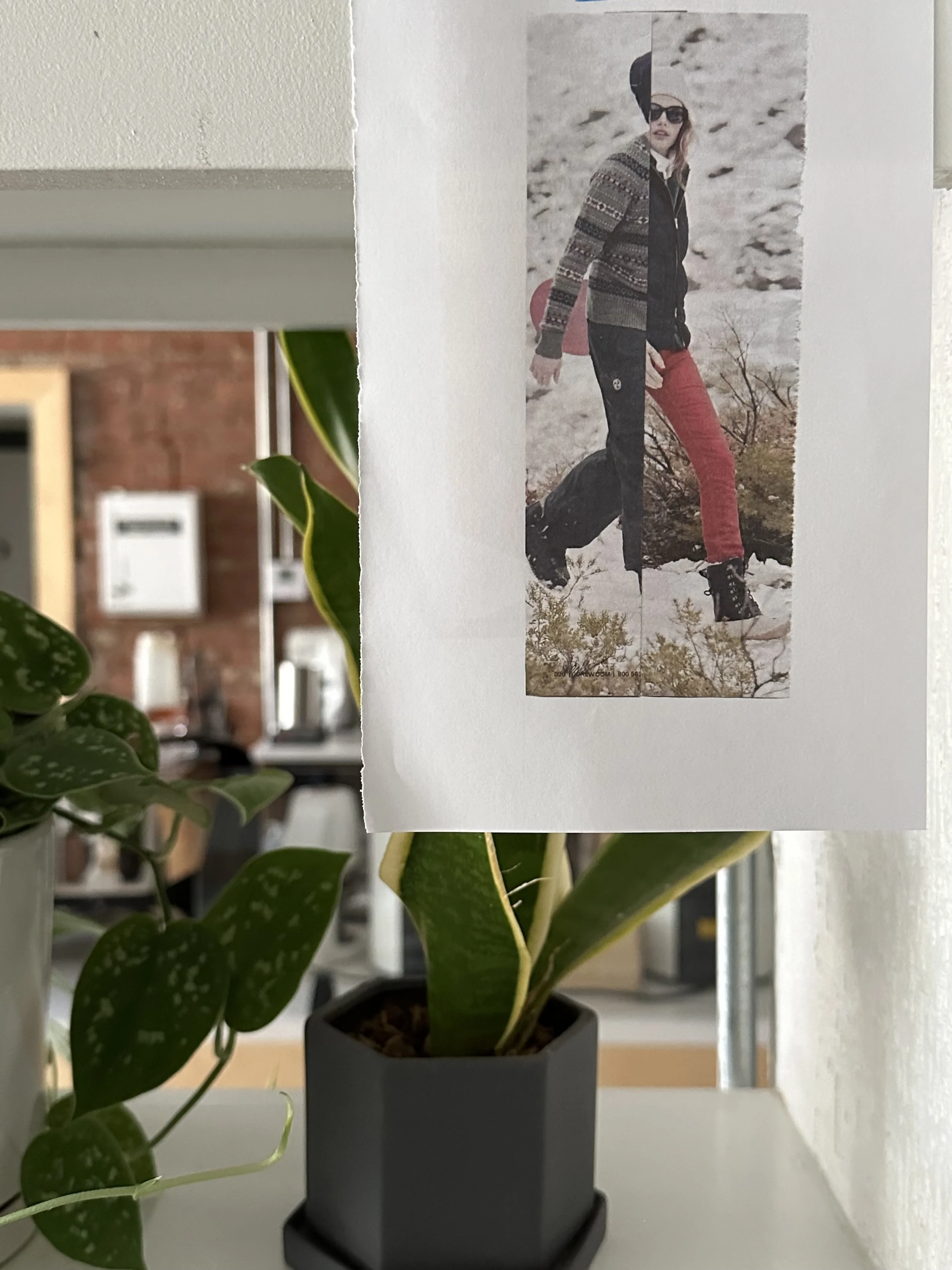 installed at duckrabbit coffee in Cleveland OH