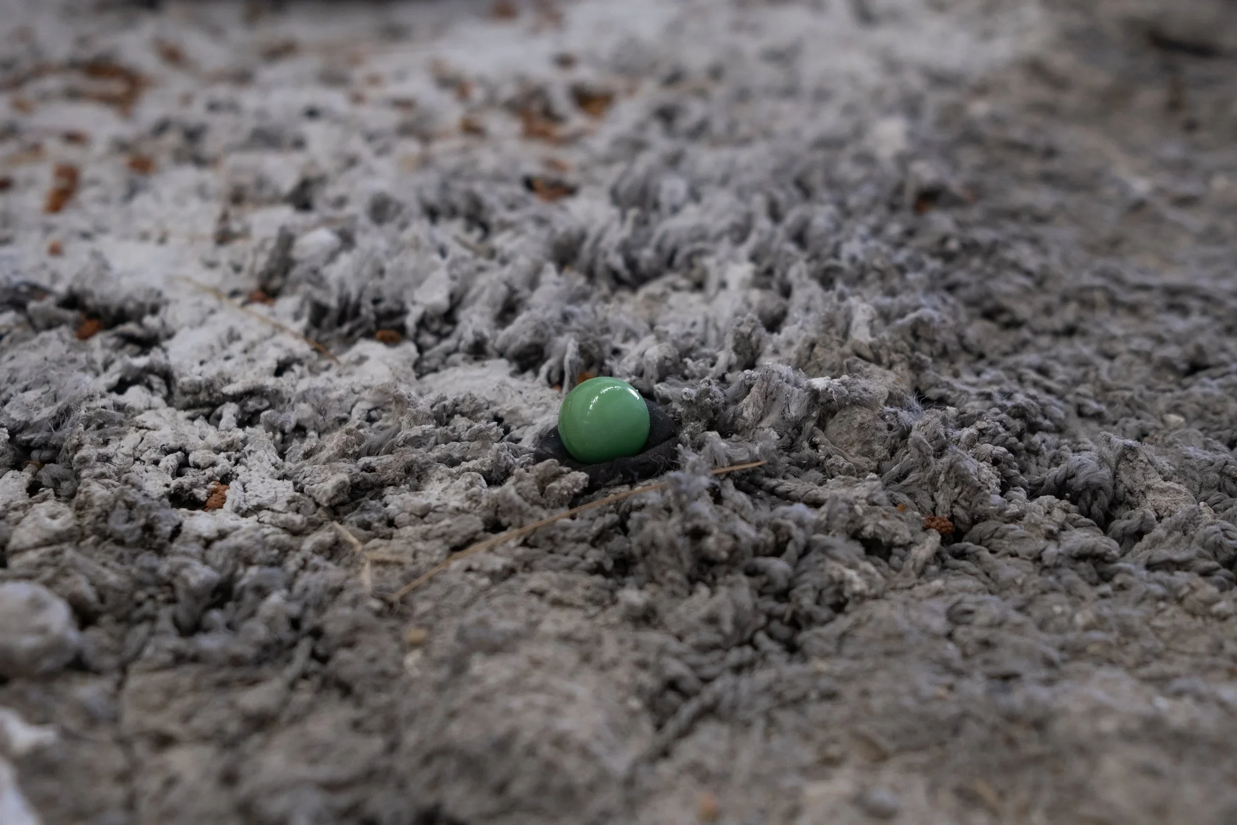 DSCF0244+(1).webp