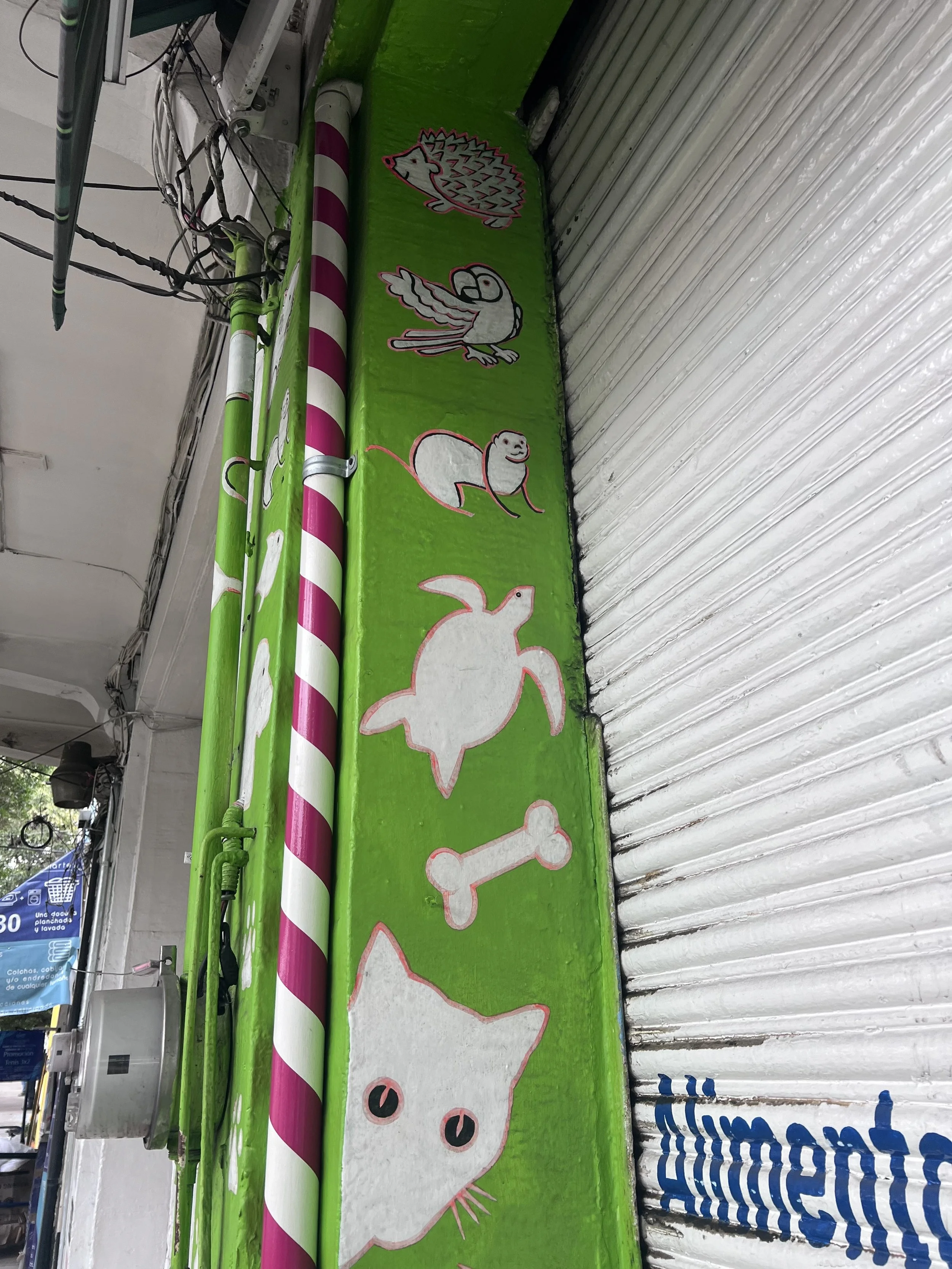 installed around CDMX