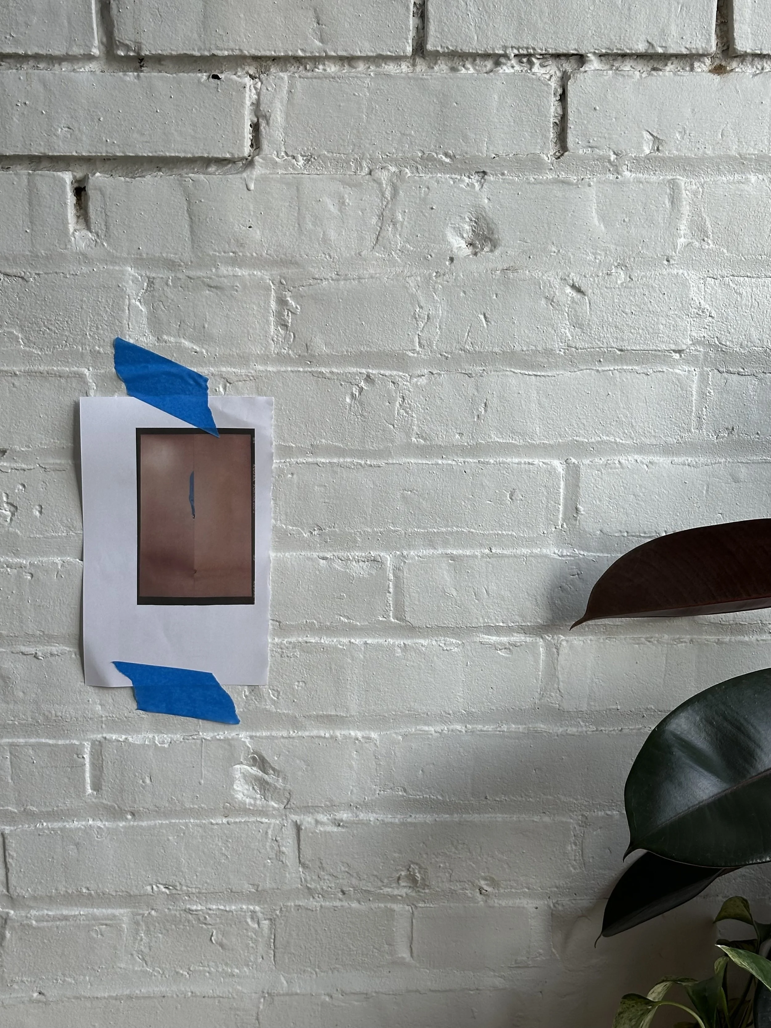 installed at duckrabbit coffee in Cleveland OH