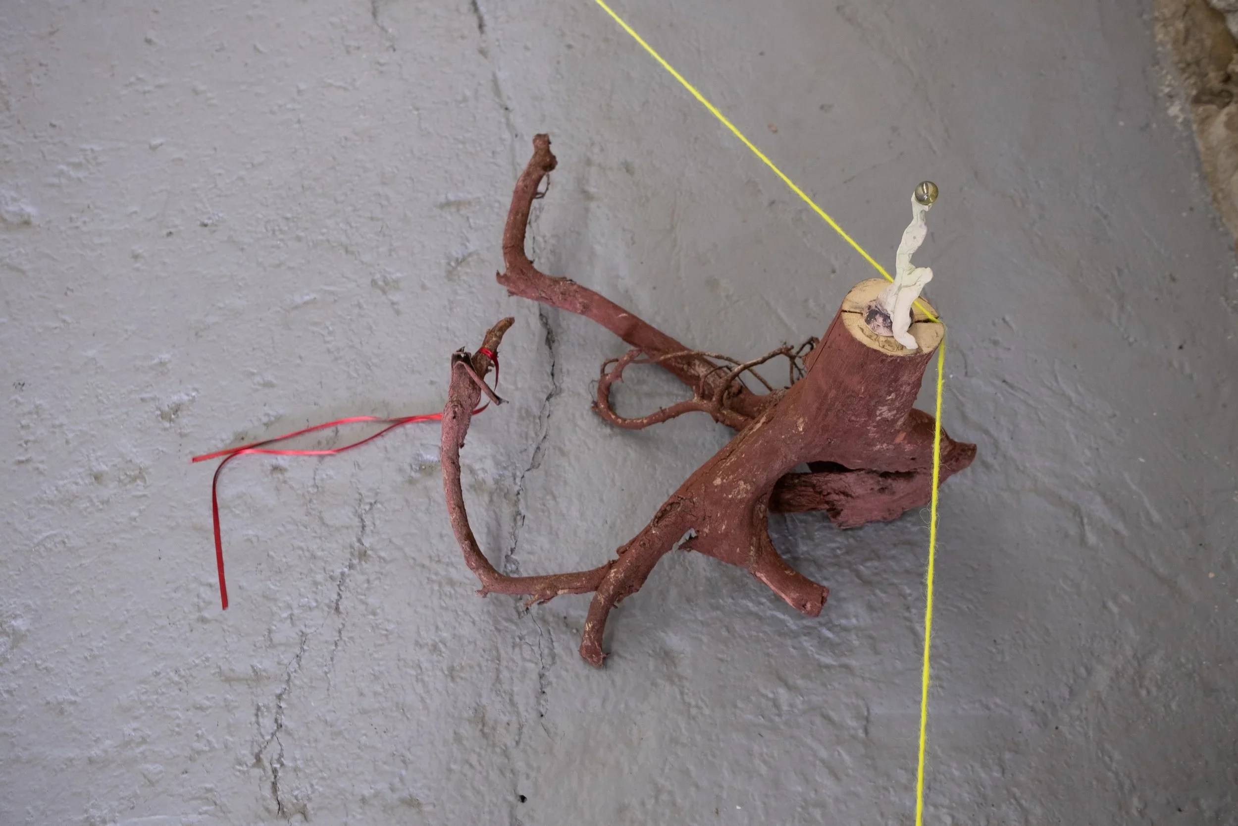 DSCF0163.webp