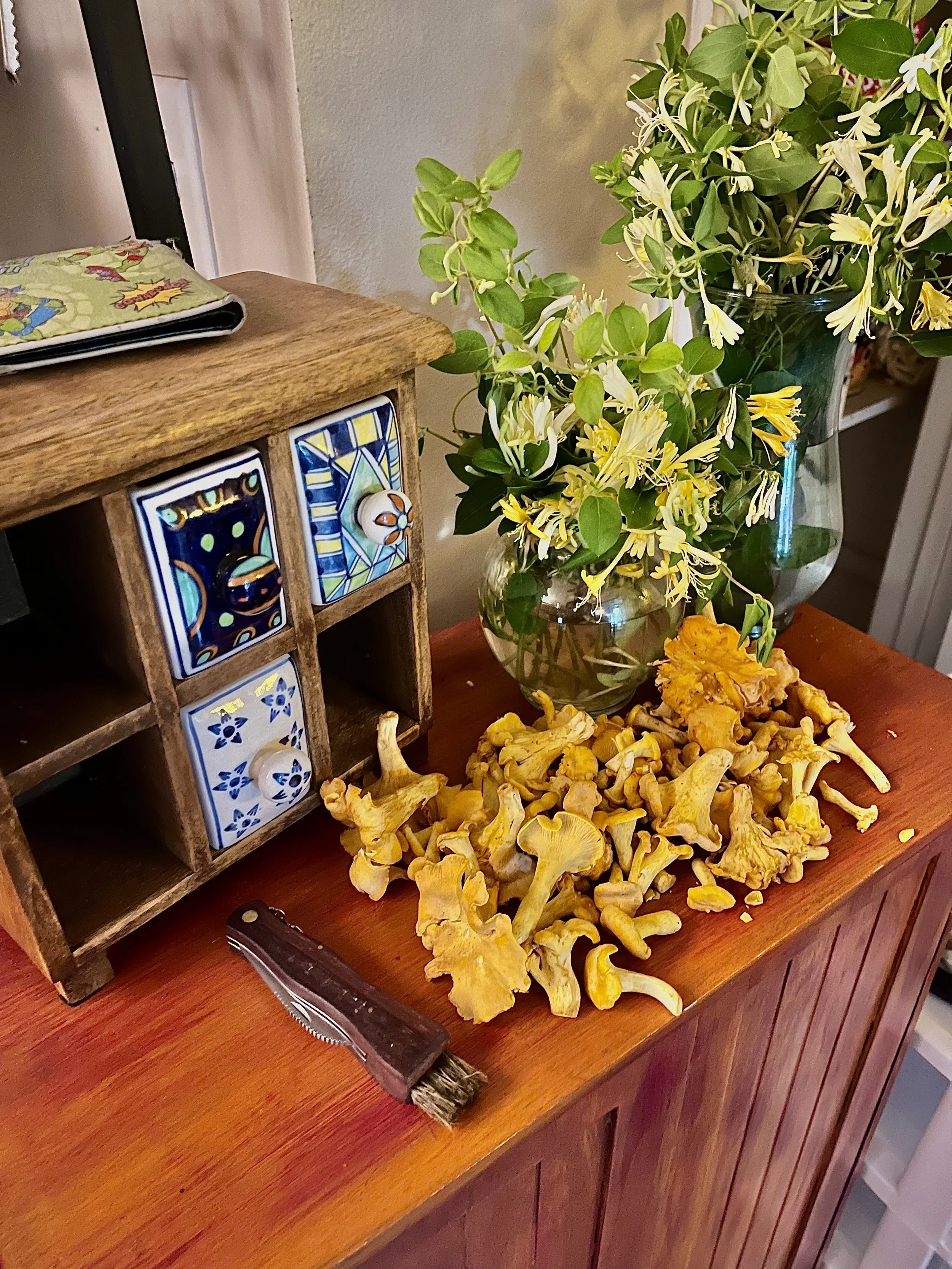 Chanterelles and Honey Suckle