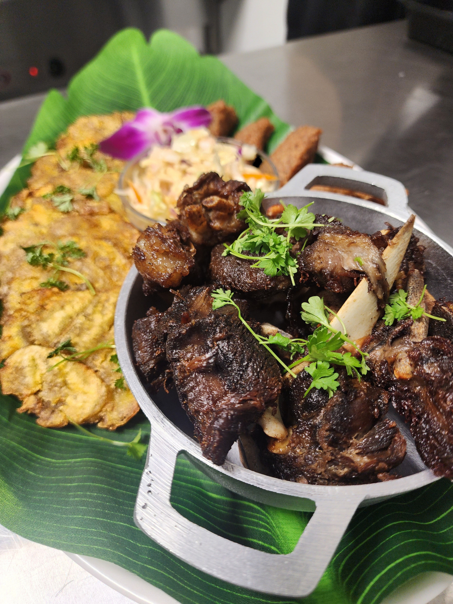 Untitled design-16.png