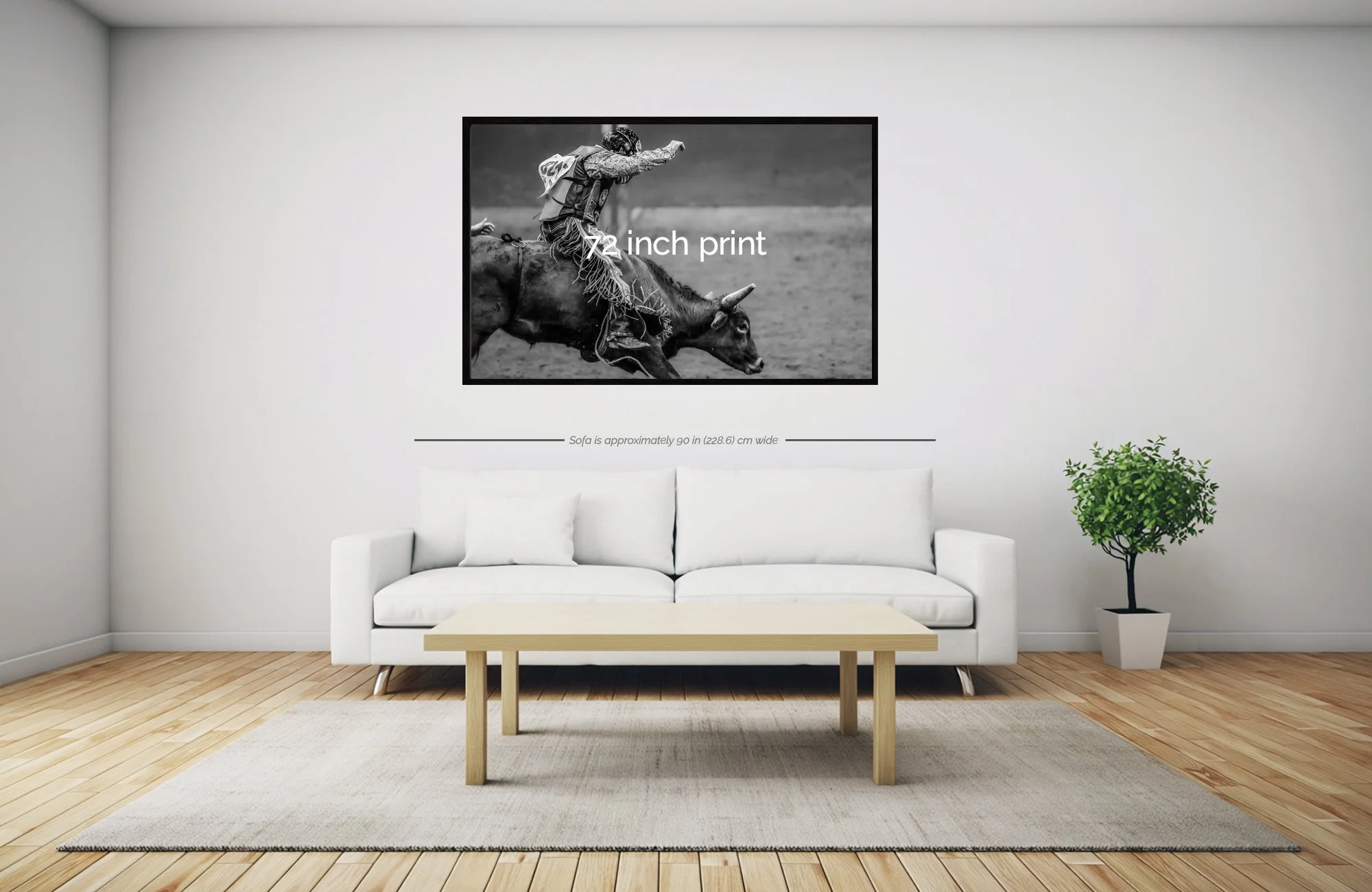 Living room with white sofa, wooden coffee table, green potted plant, and black-and-white picture of a rodeo rider on a bull on the wall.