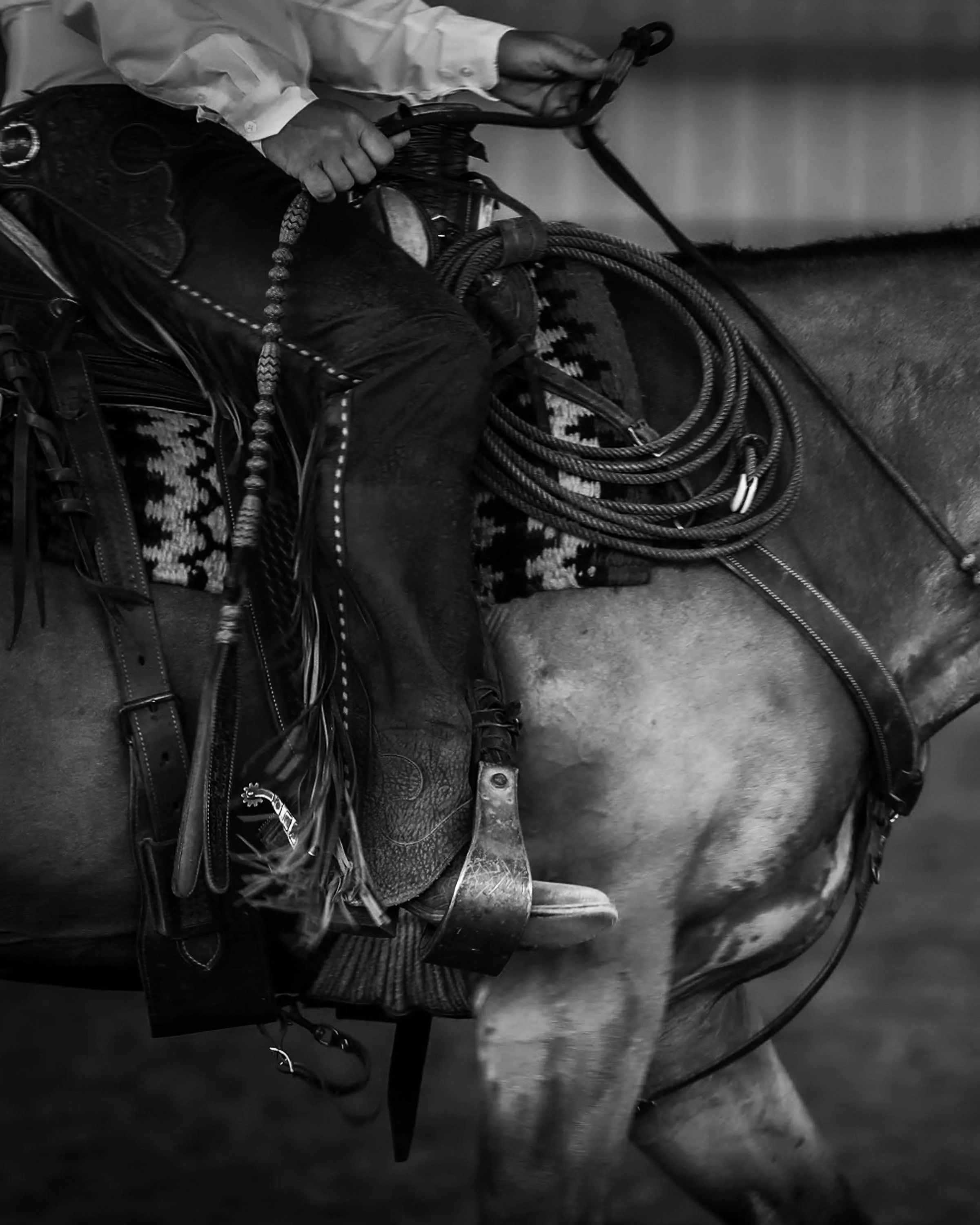 Close-up of a person riding a horse, holding a lasso, with the saddle and saddle blankets visible.