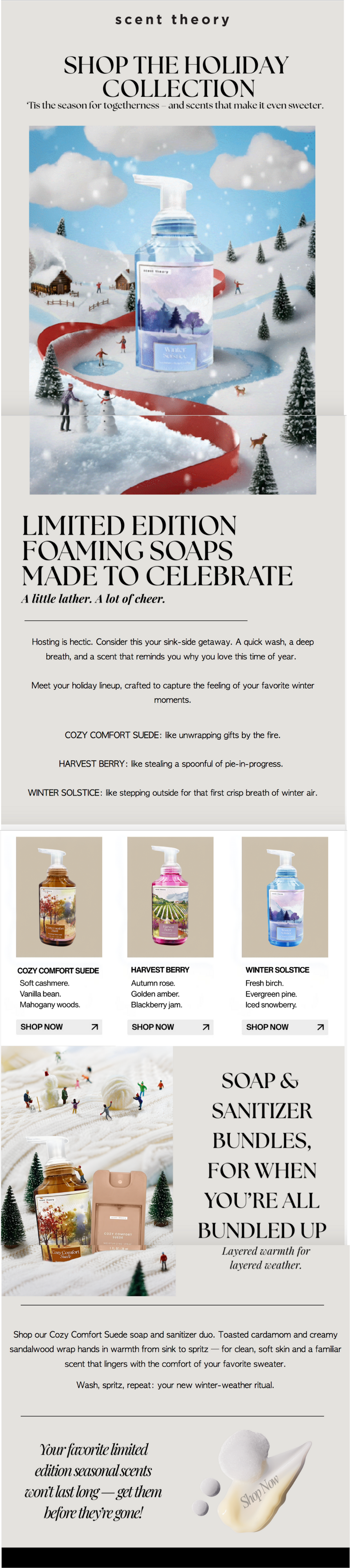 ST Newsletter 1 FULL.png