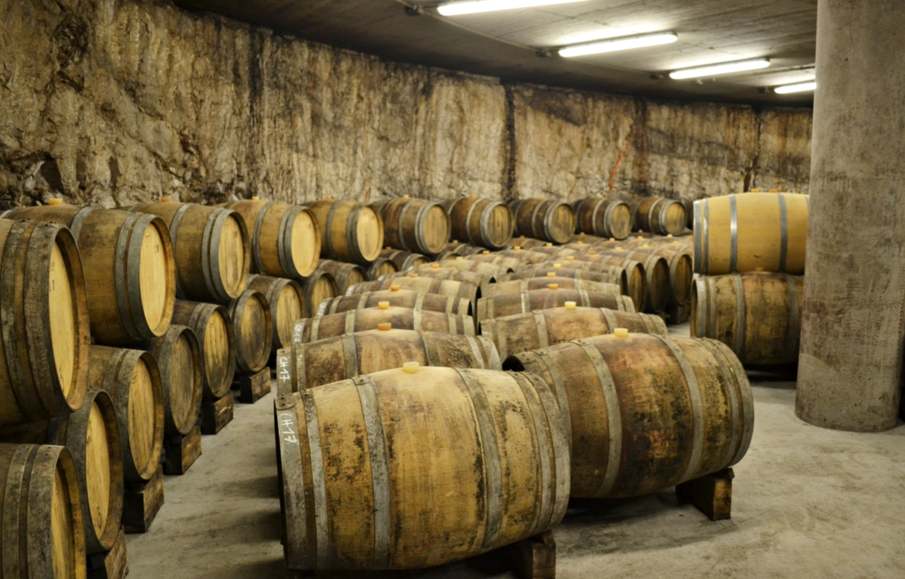 KANTE WINERY TRIESTE ITALY