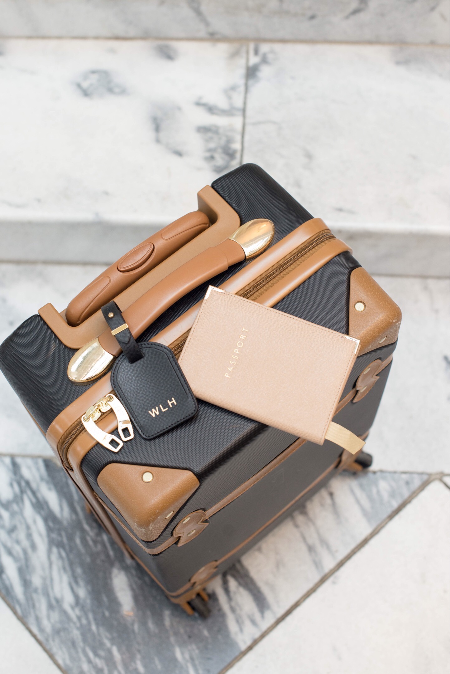 LUGGAGE: DVF, PASSPORT CASE: ASPINAL OF LONDON, LUGGAGE TAG: CUYANA