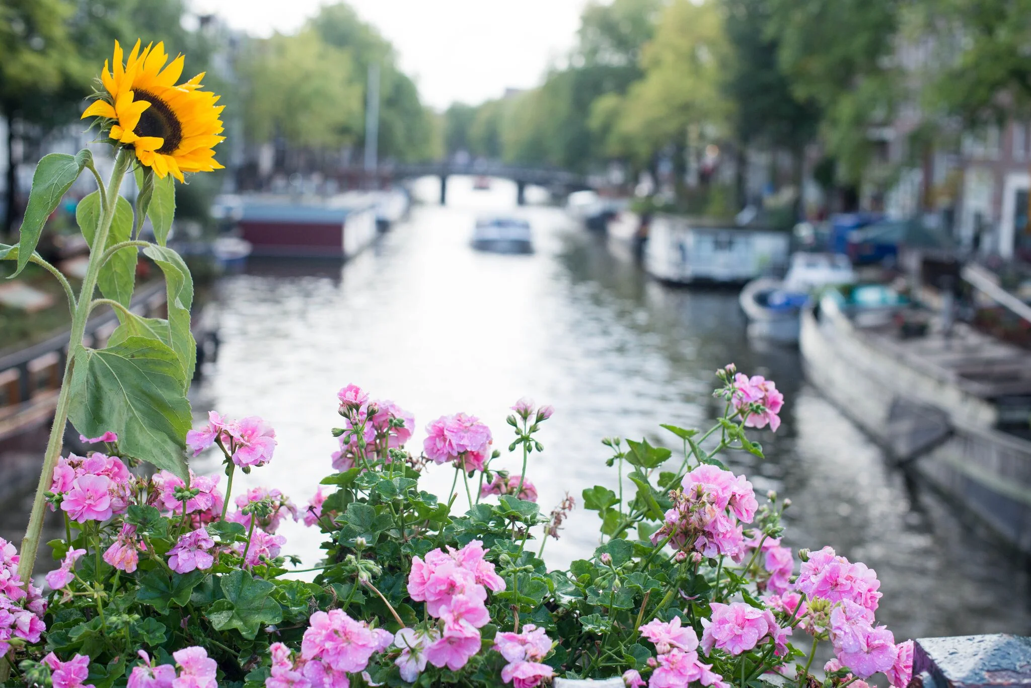 Photos by Sarah Catherine Design