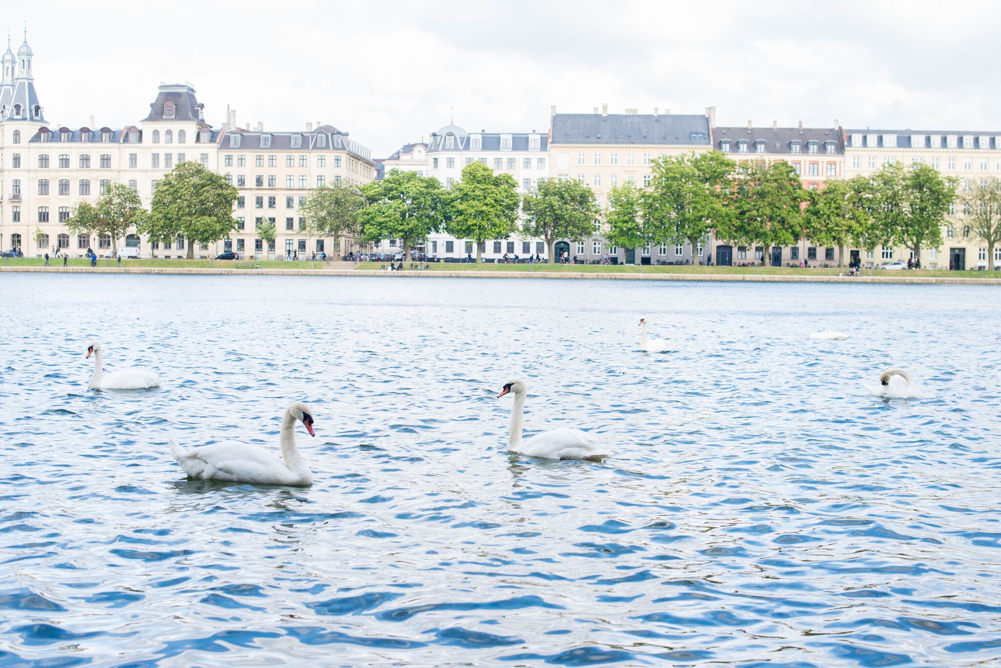 Photos by Sarah Catherine Design