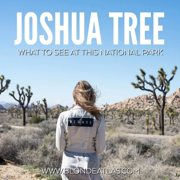 joshua tree national park