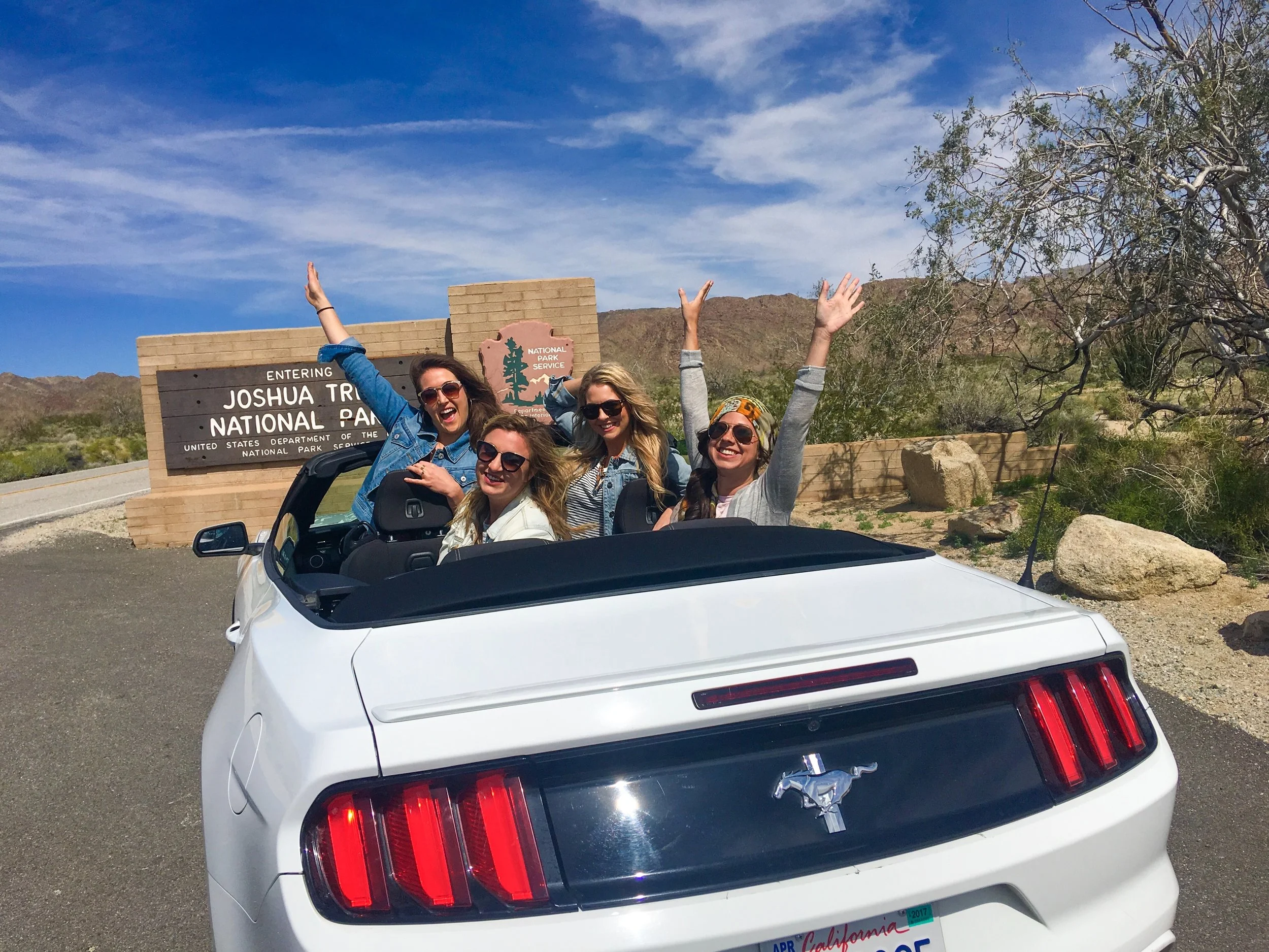 joshua tree national park