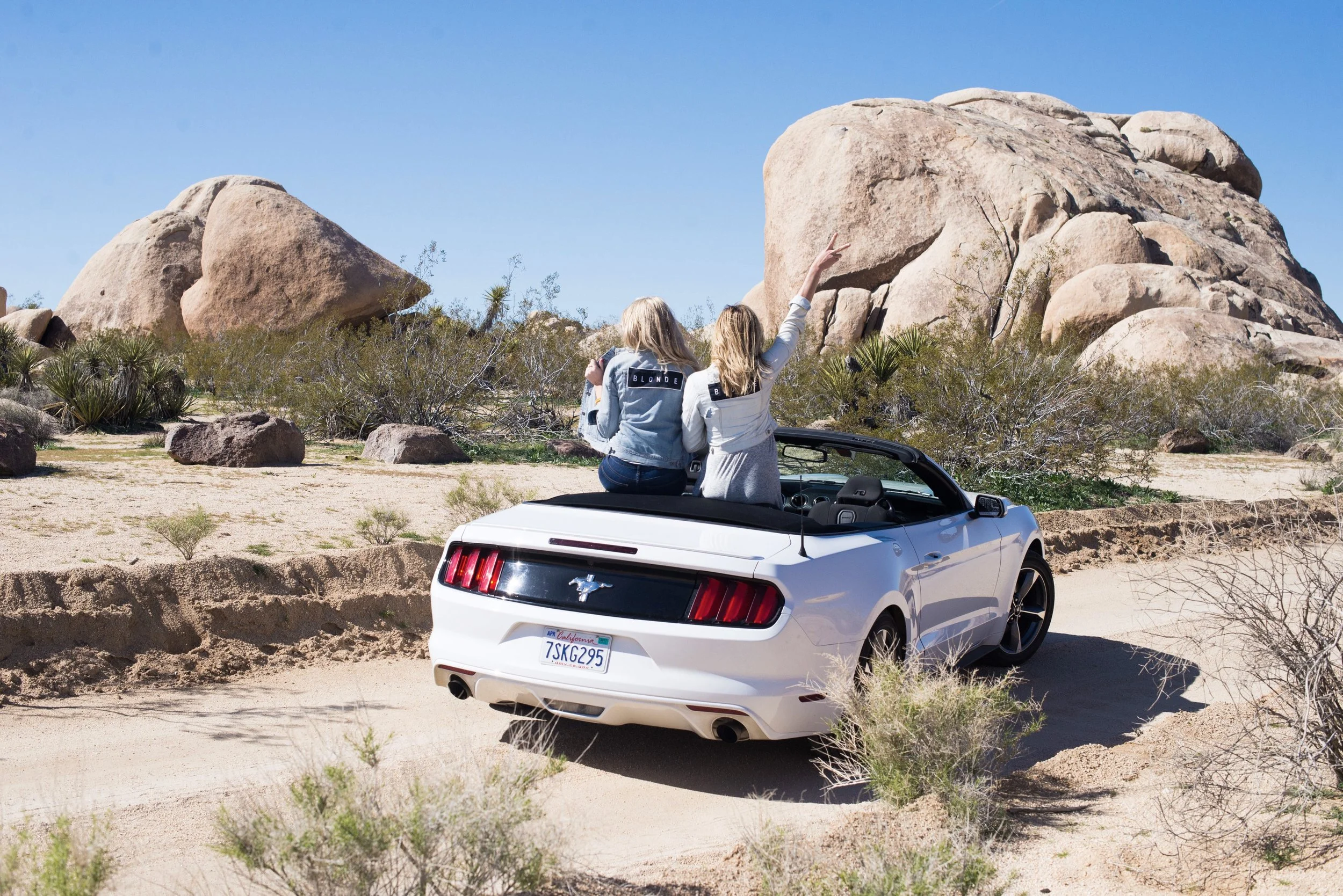 JACKET PATCH: DOXAHLOGY, SWING DRESS: LOU &amp; GREY, PHOTO BY SARAH CATHERINE DESIGNS