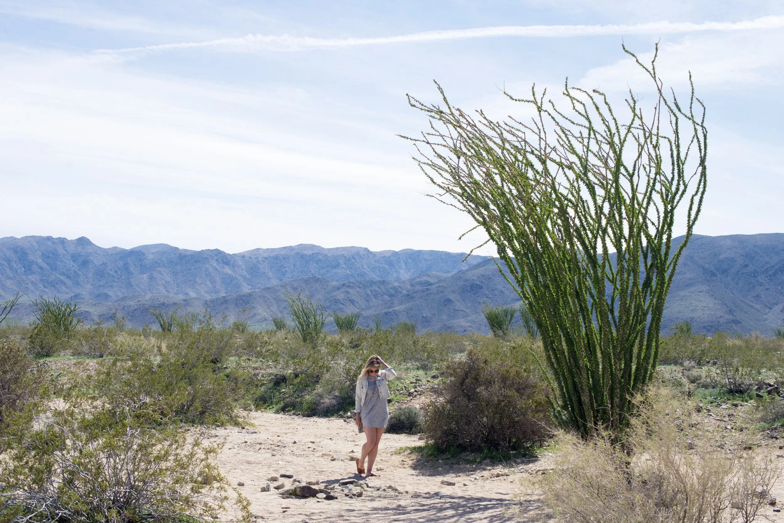 JACKET PATCH: DOXAHLOGY, SWING DRESS: LOU &amp; GREY, PHOTO BY SARAH CATHERINE DESIGNS