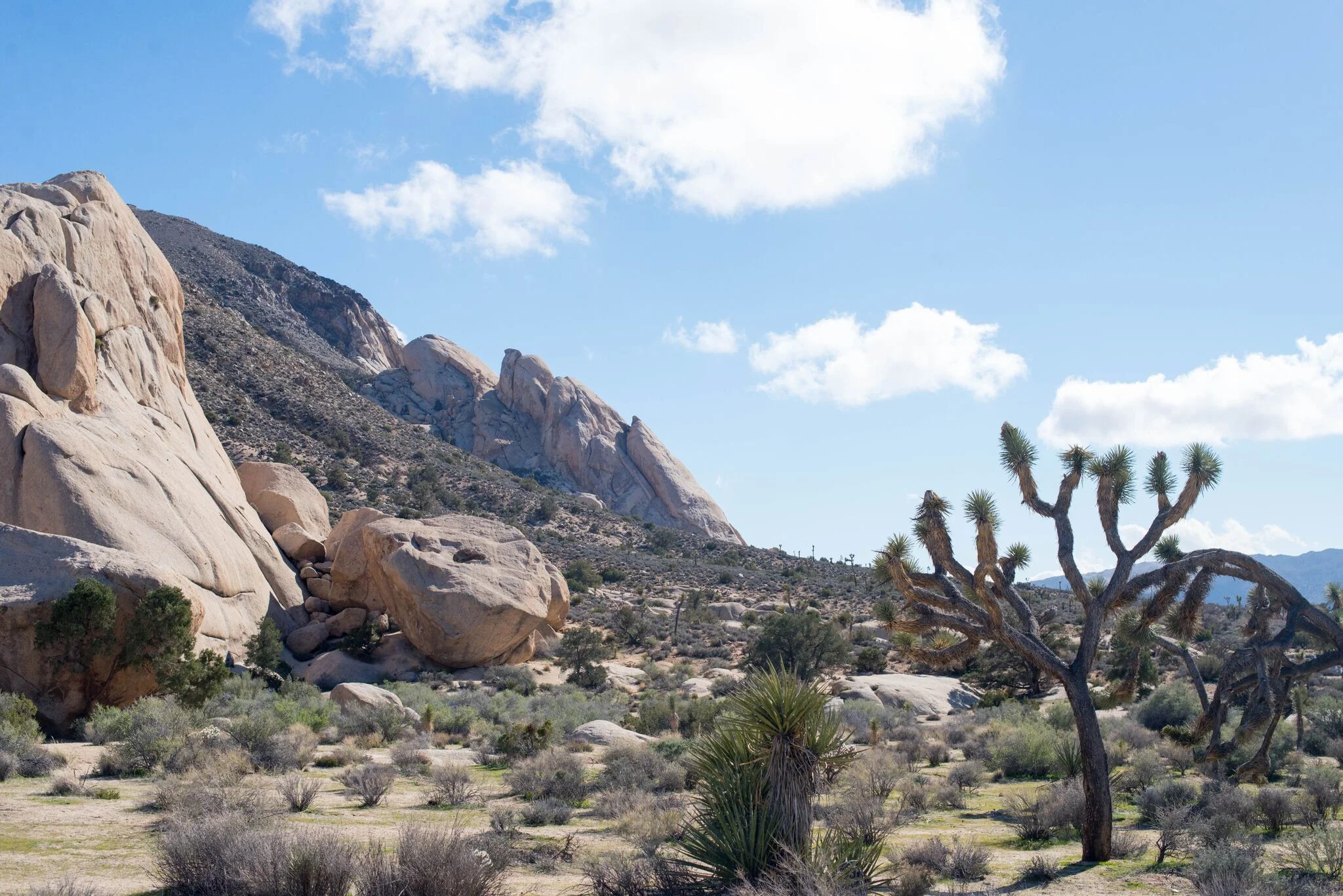 PHOTO BY SARAH CATHERINE DESIGNS