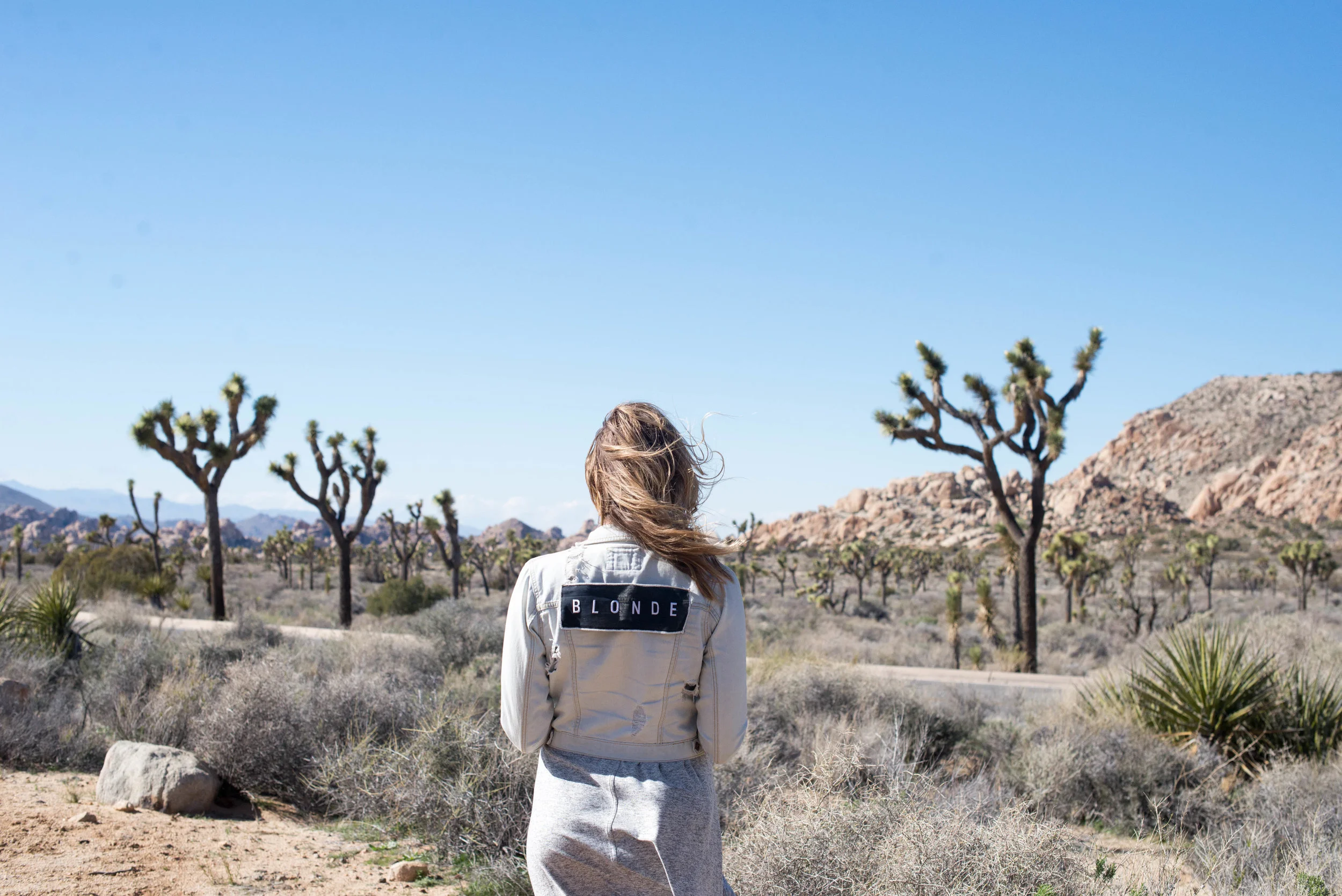 JACKET PATCH: DOXAHLOGY, SWING DRESS: LOU &amp; GREY, PHOTO BY SARAH CATHERINE DESIGNS