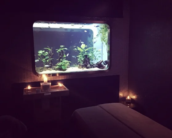 castadiva spa lake como water