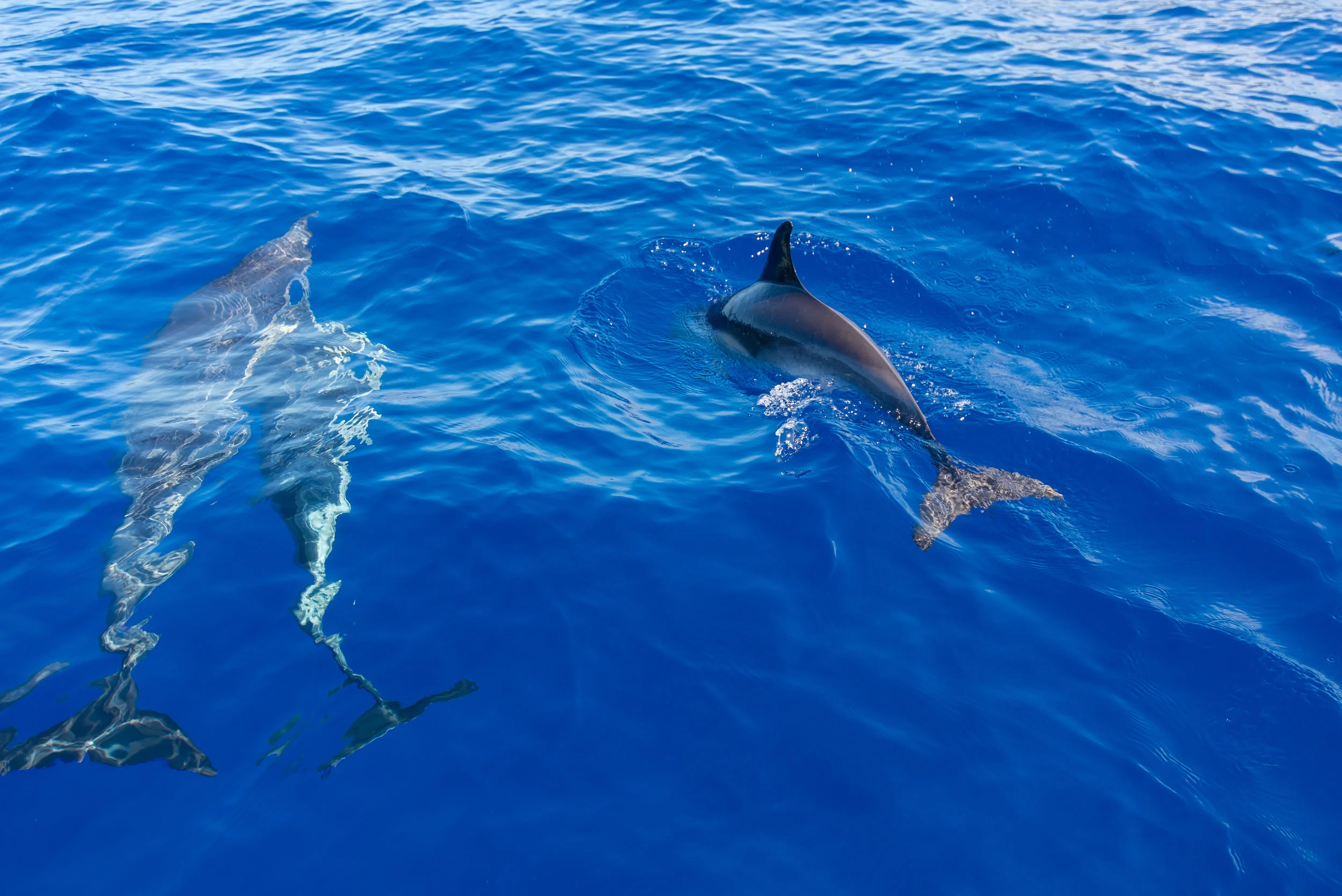 Image c/o Augusta Leigh Photography of SnapSquad