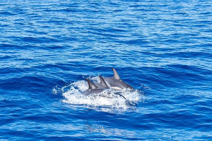 Image c/o Augusta Leigh Photography of SnapSquad