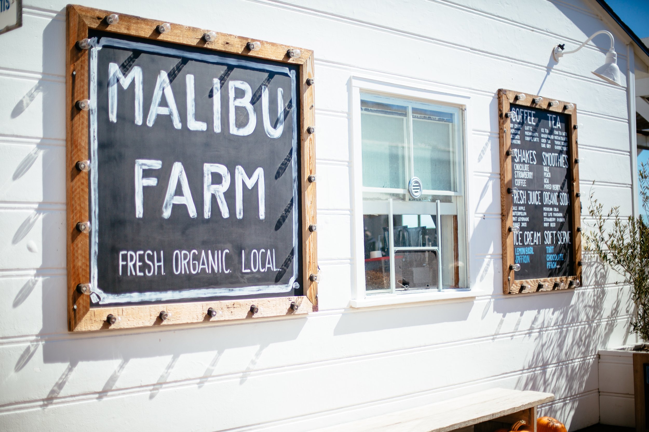 Photos by Katie Theis Photo