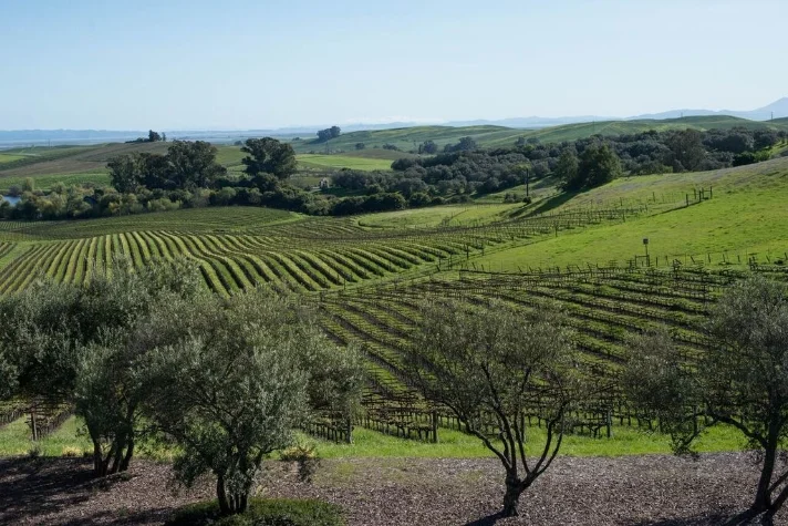 Photos by Sarah Catherine Design