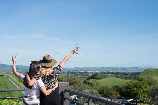 artesa winery napa valley