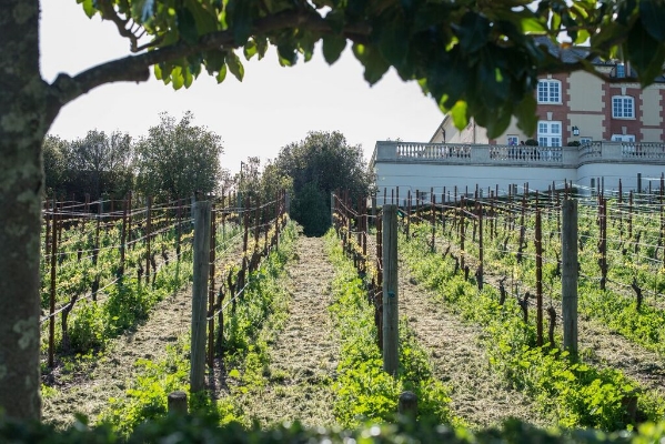 domaine carneros winery napa valley