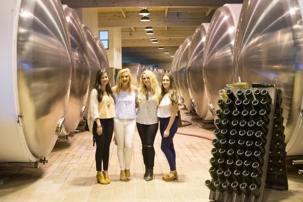 domaine chandon napa valley