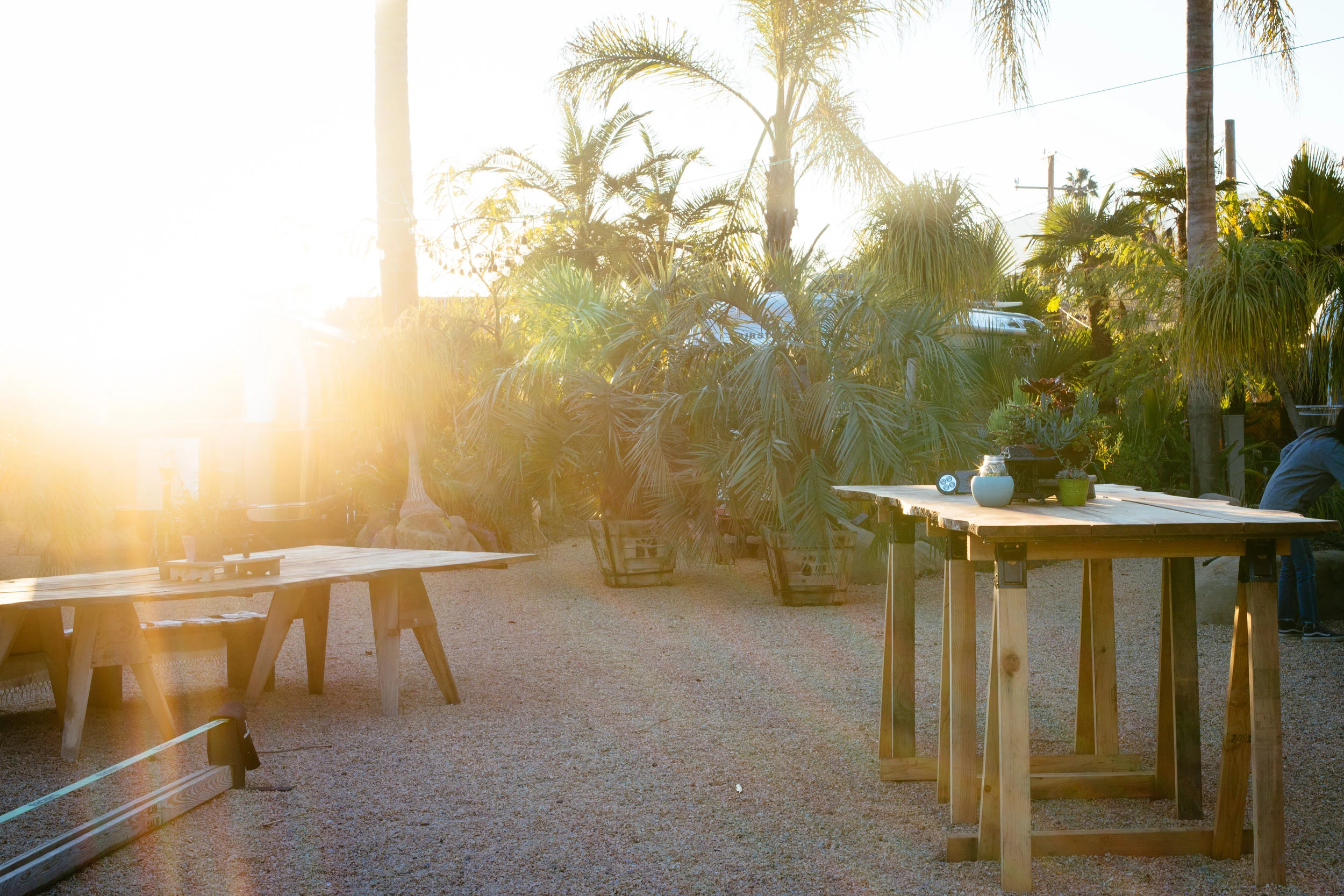 PHOTO BY KATIE THEIS PHOTO