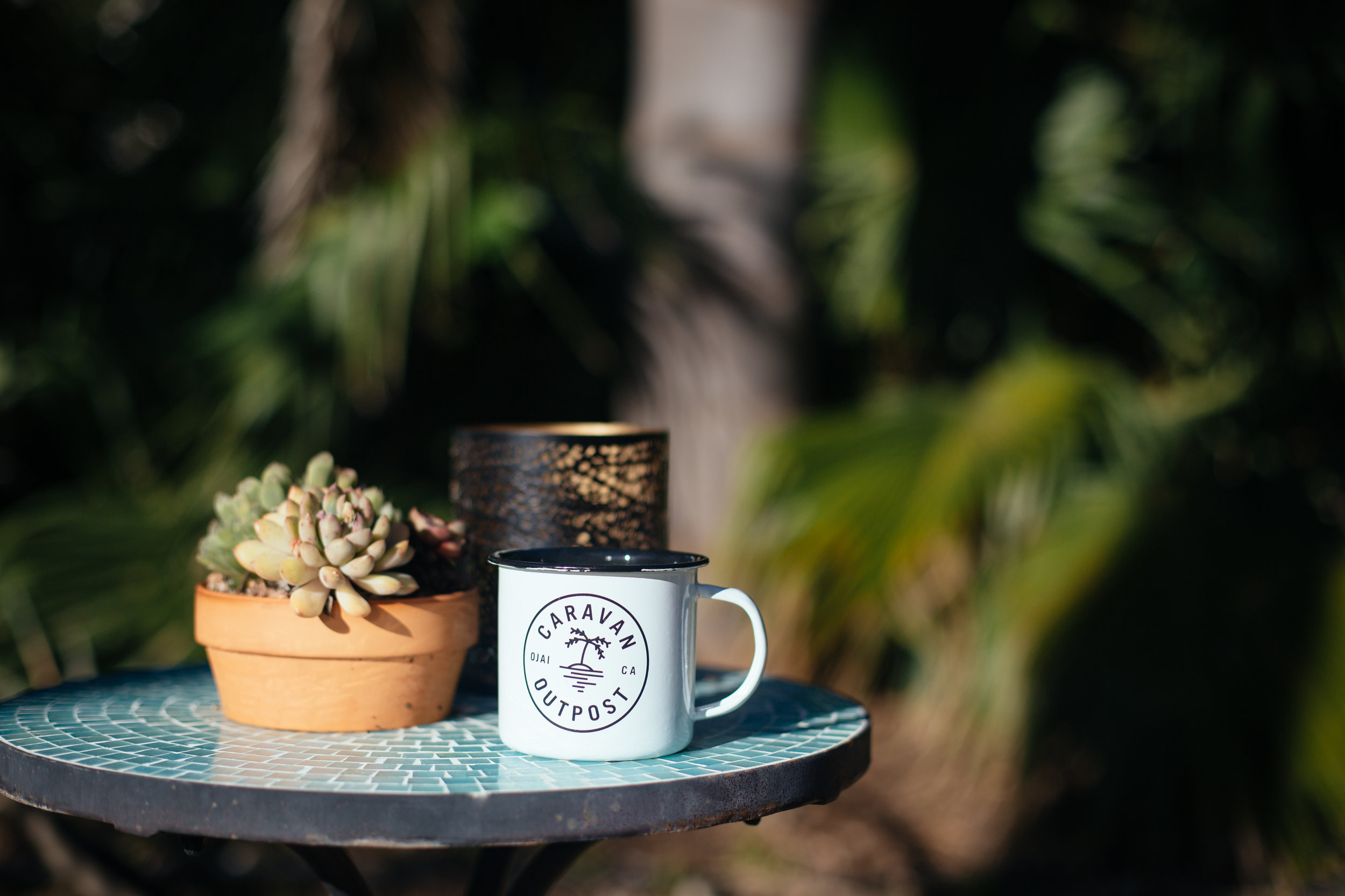 PHOTO BY KATIE THEIS PHOTO