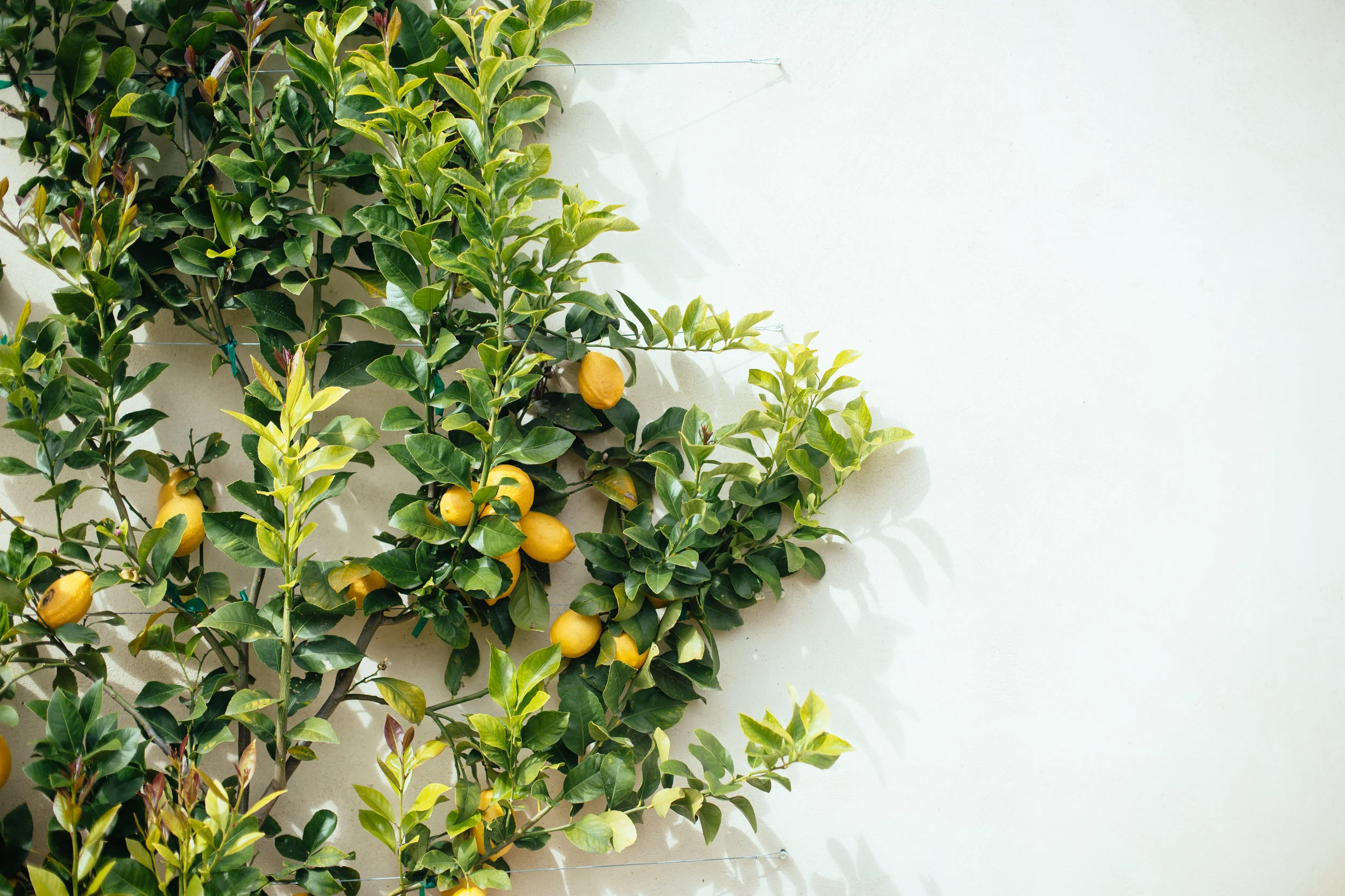 PHOTO BY KATIE THEIS PHOTO