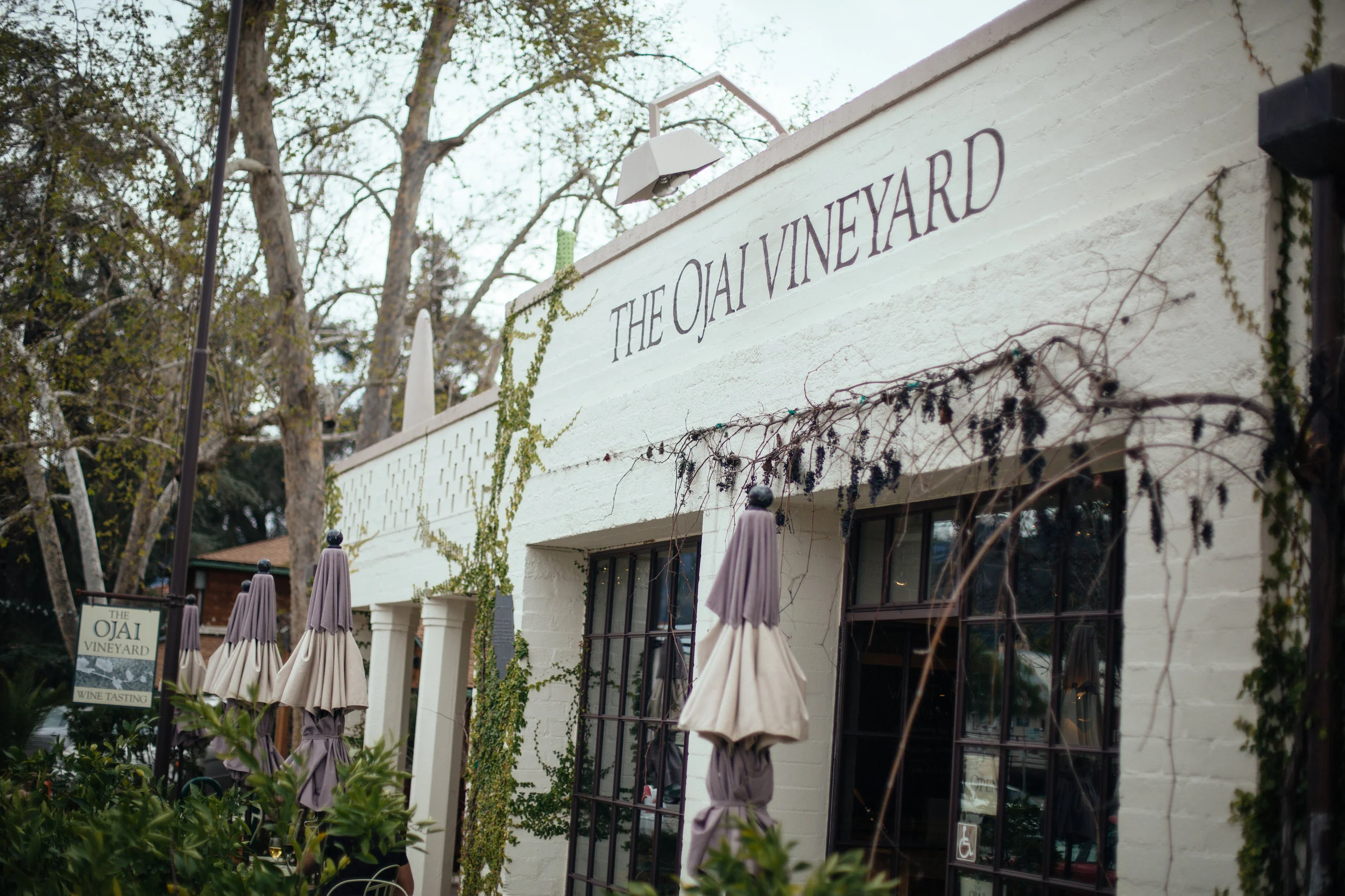 PHOTO BY KATIE THEIS PHOTO