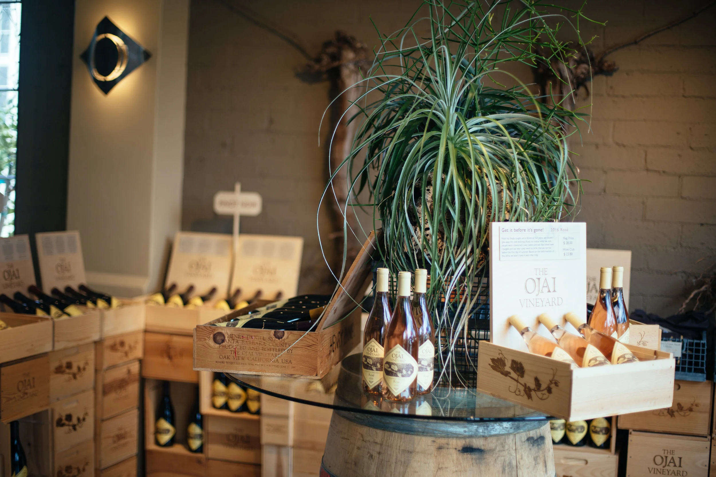 PHOTO BY KATIE THEIS PHOTO