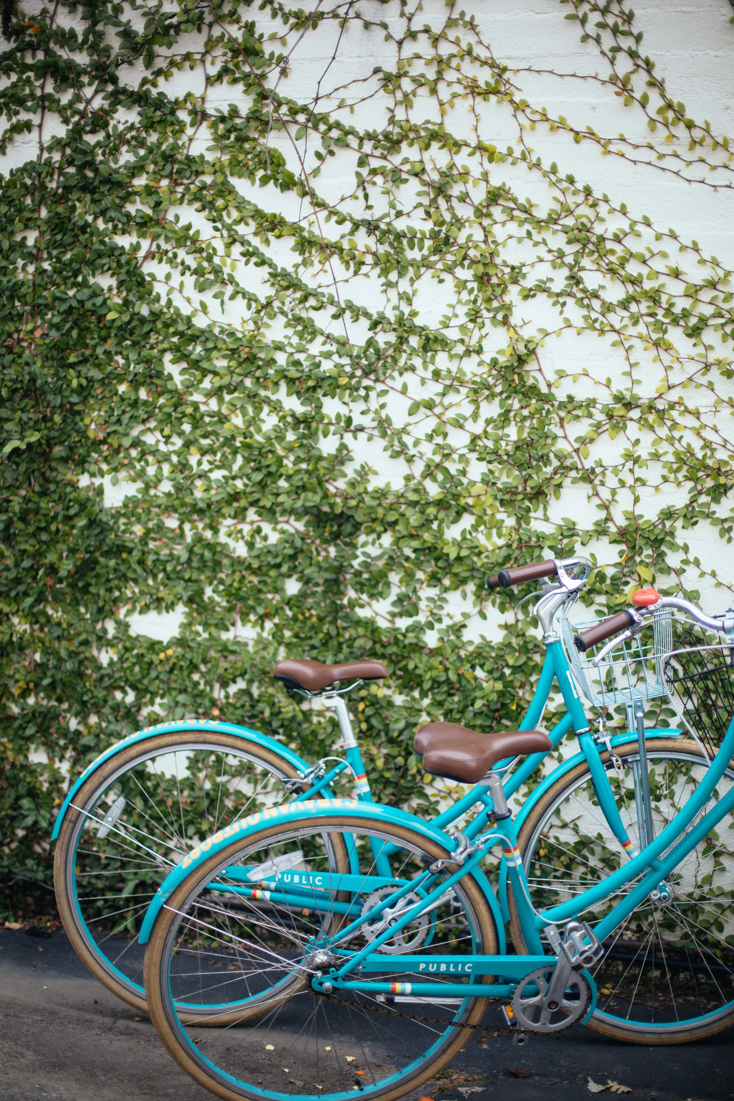 PHOTO BY KATIE THEIS PHOTO