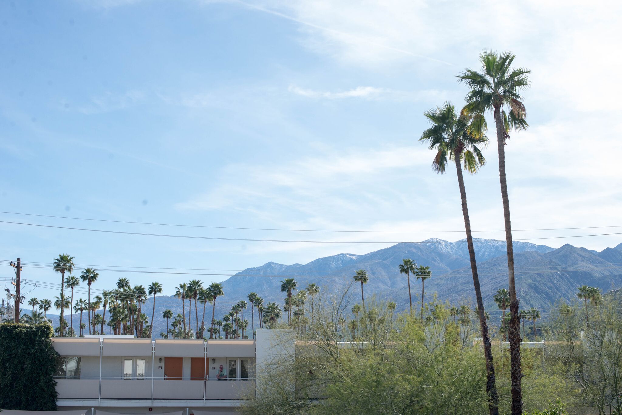 ACE HOTEL PALM SPRINGS