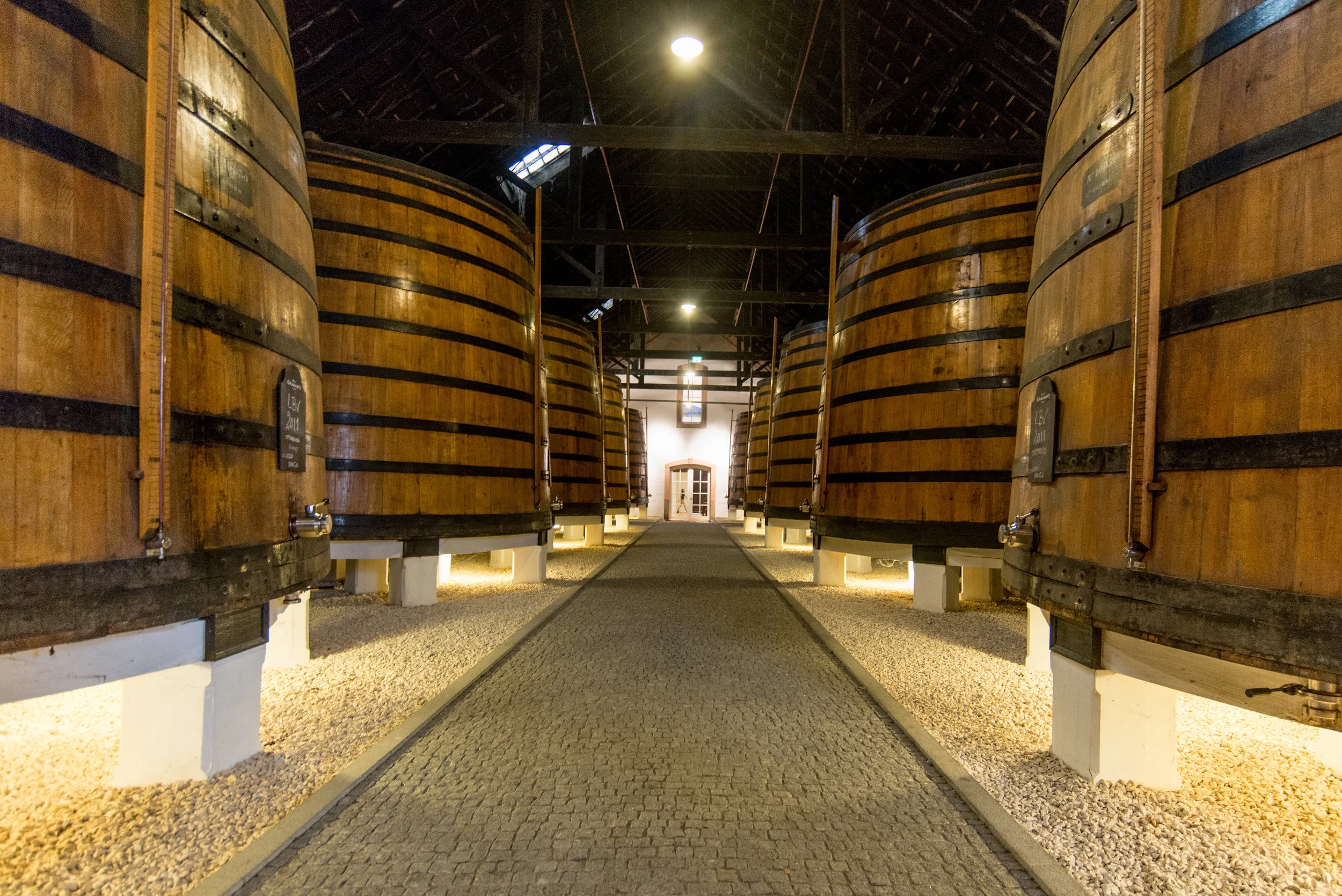 Image c/o Augusta Leigh Photography of SnapSquad