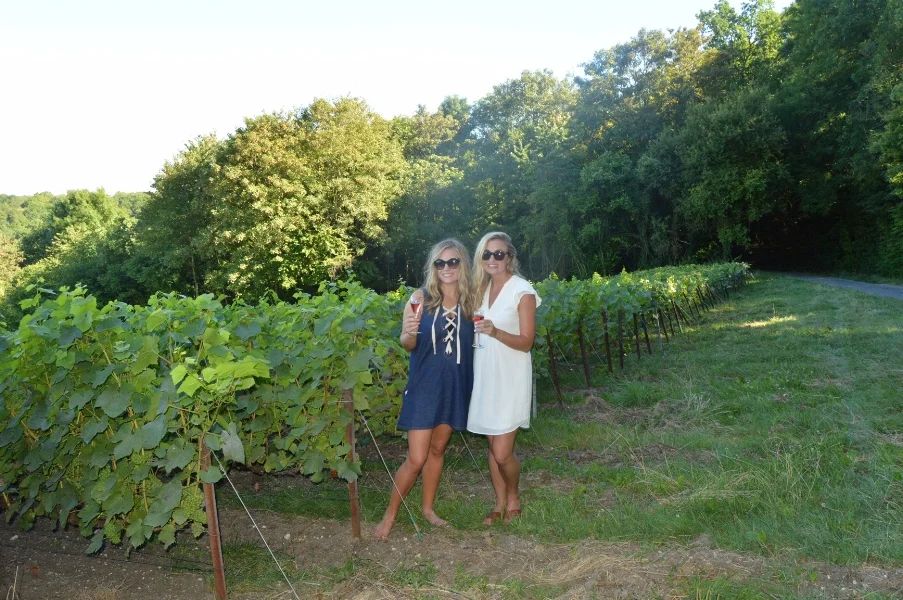 reims france travel guide champagne fields.