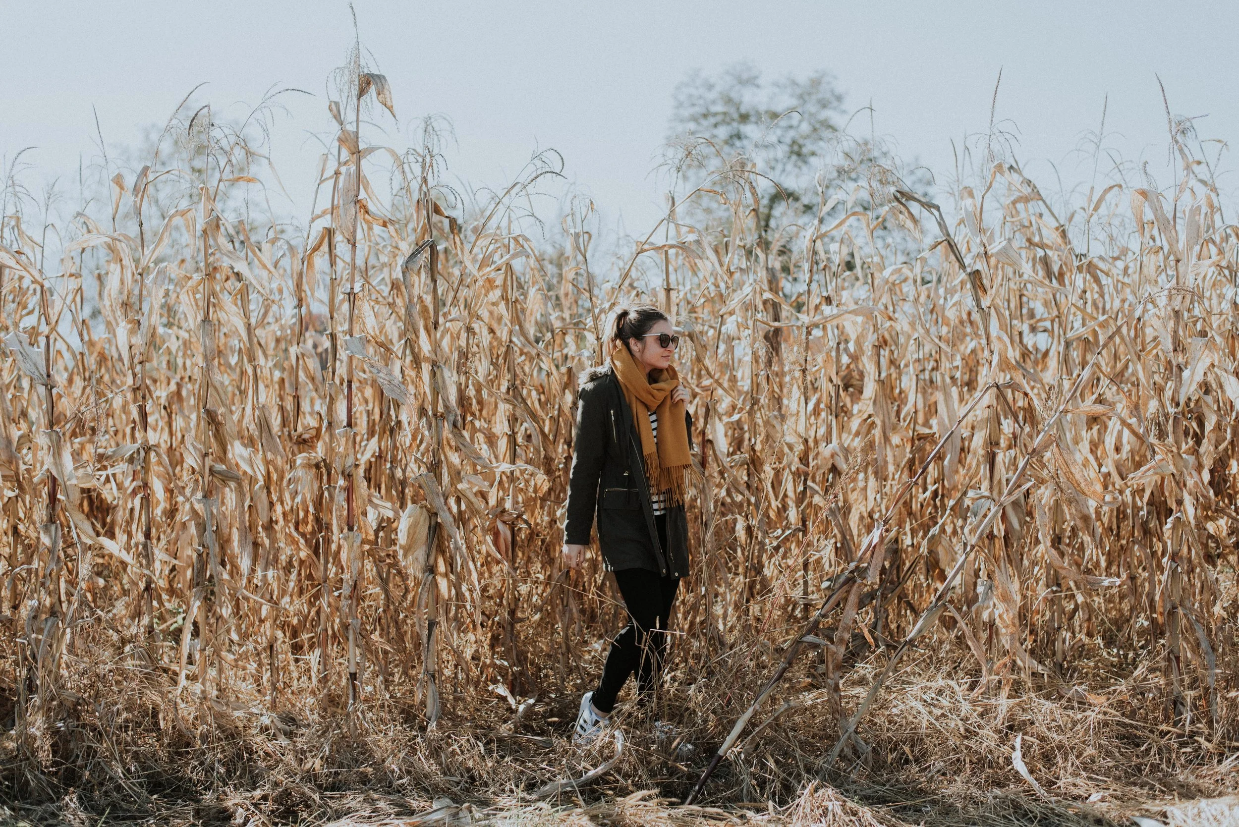 romania transylvania road trip