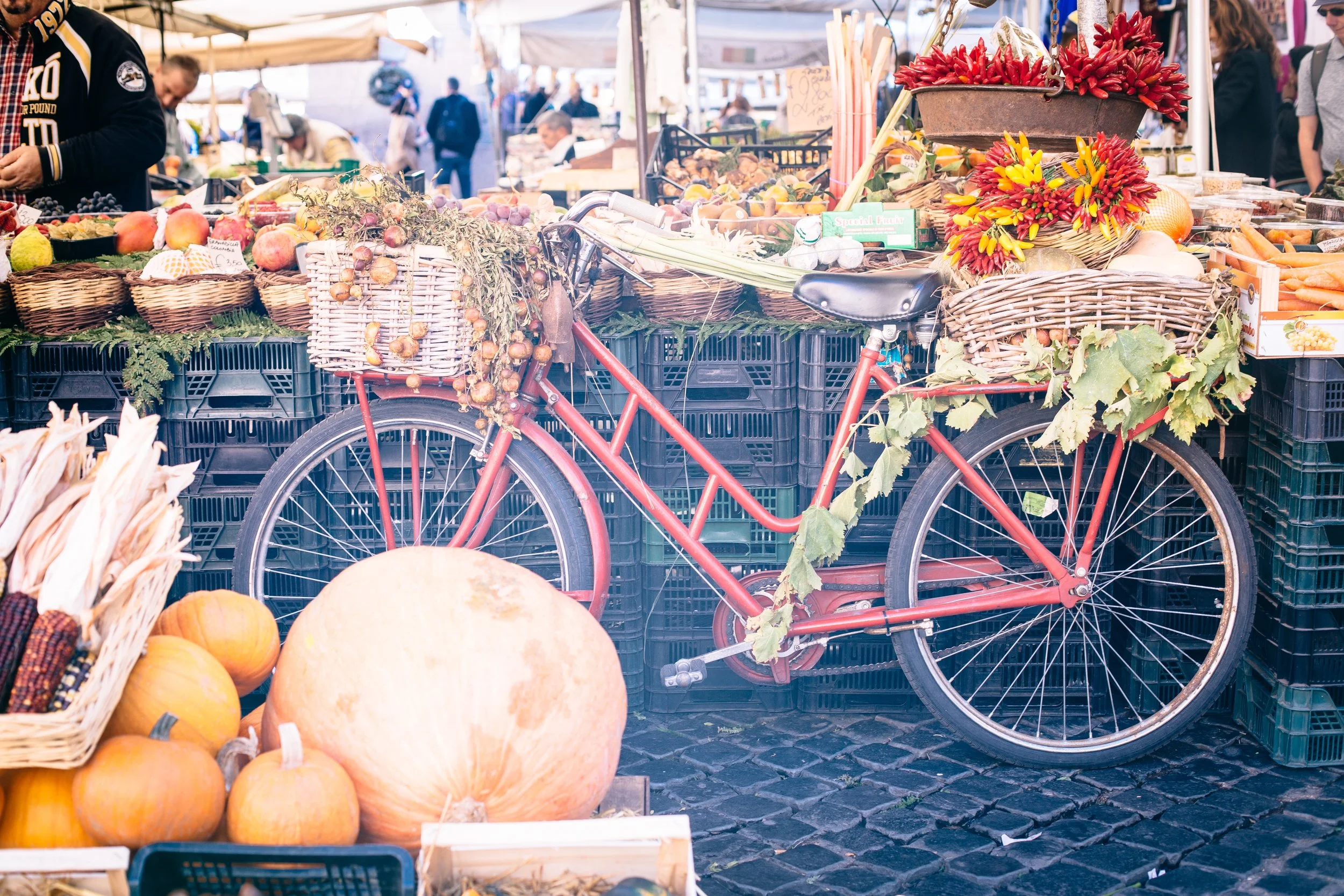 Photos by Katie Theis Photo