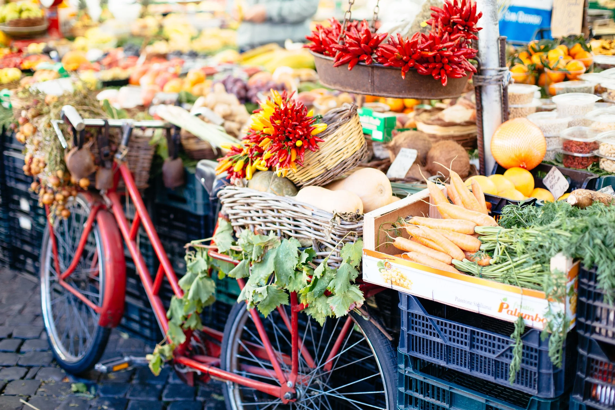 Photos by Katie Theis Photo