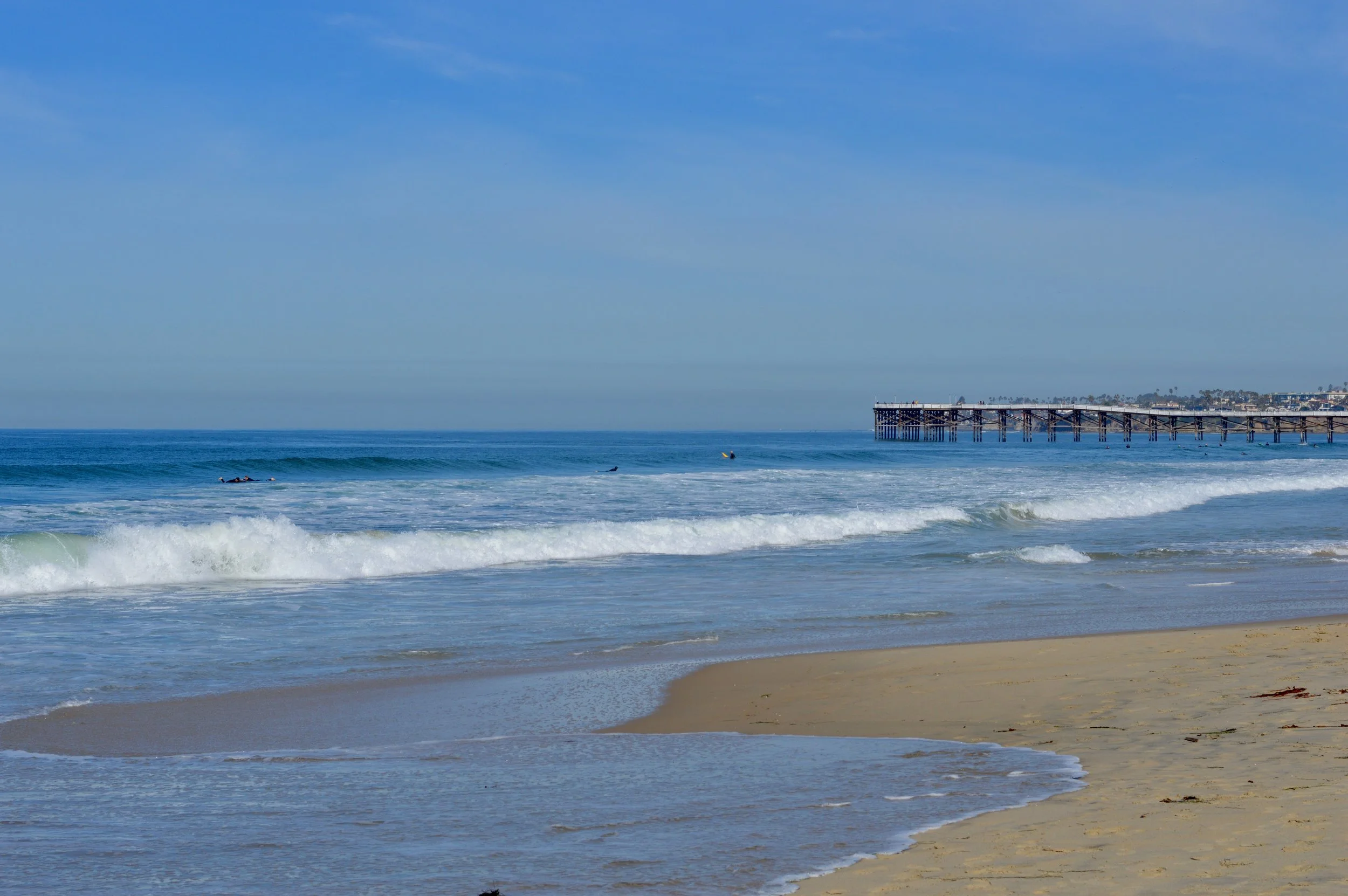 san diego blue sea beach hotel