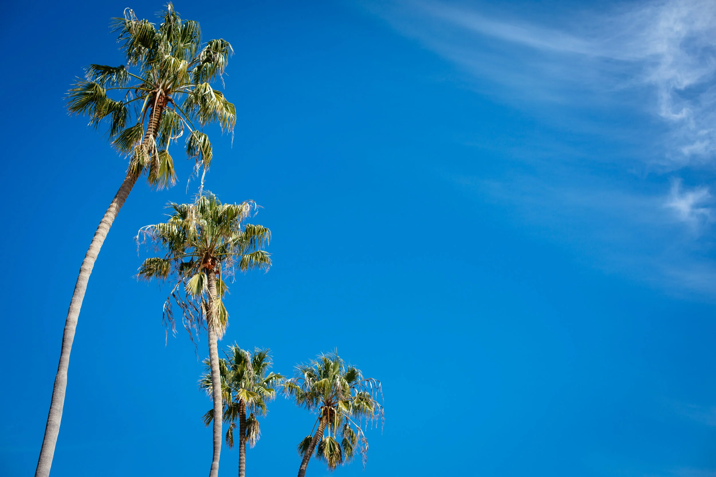 santa barbara califoria